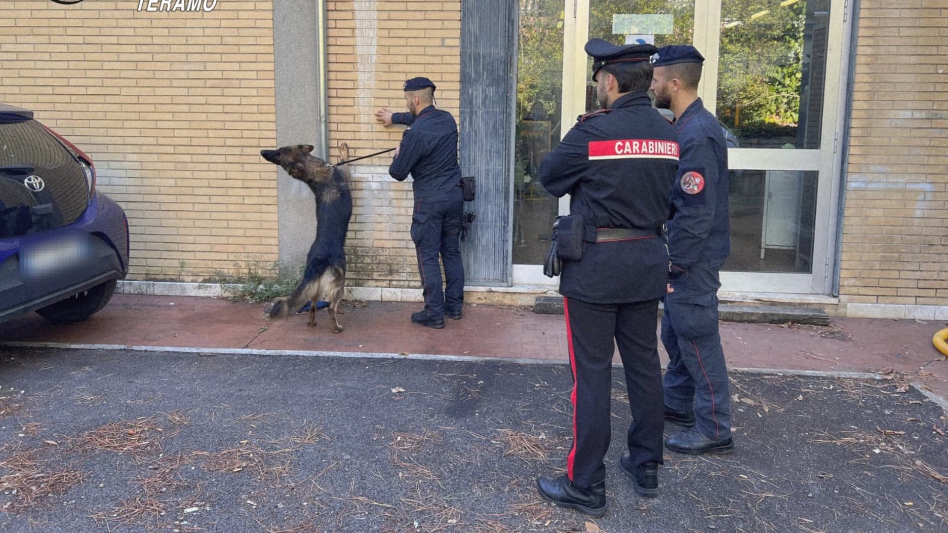 Un momento del blitz