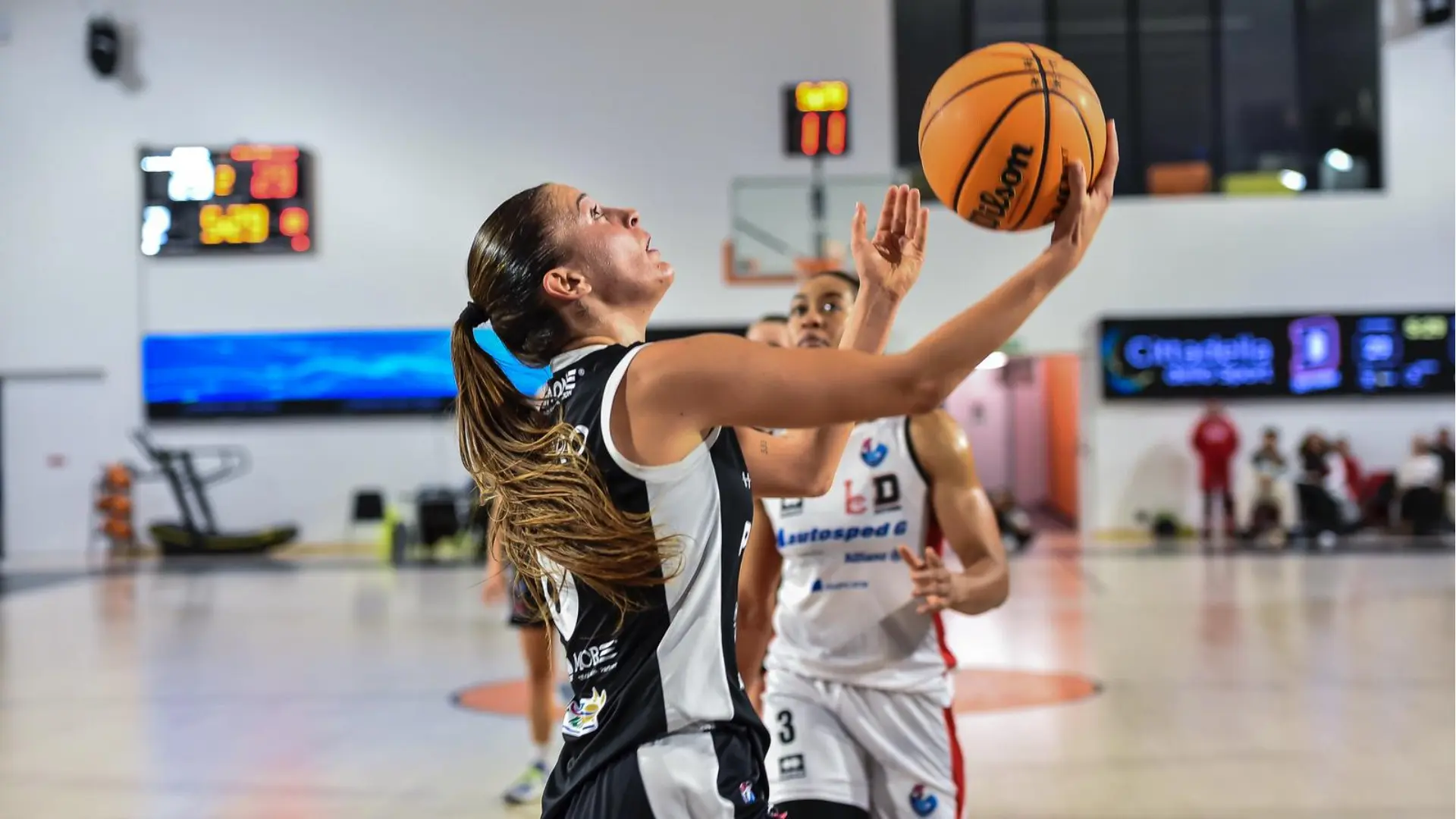 Foto pagina Facebook Panthers Roseto