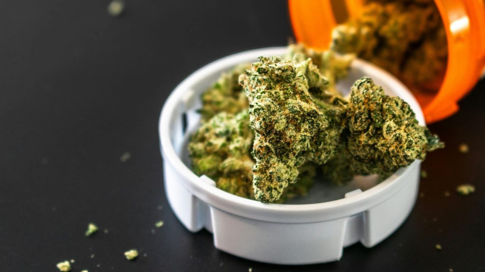 Novità per la cannabis light in Italia