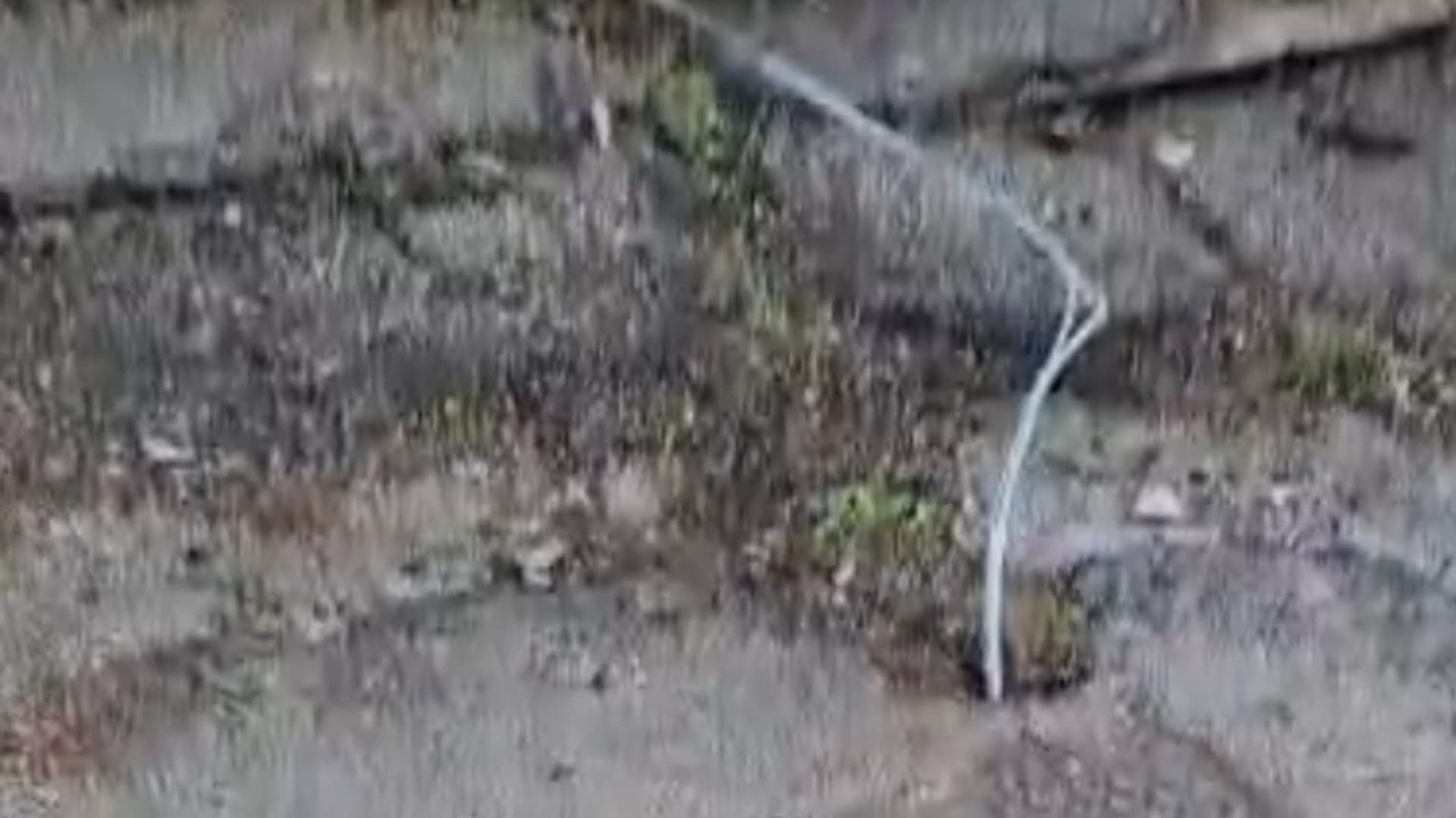 Teramo: se la fibra è... sospesa