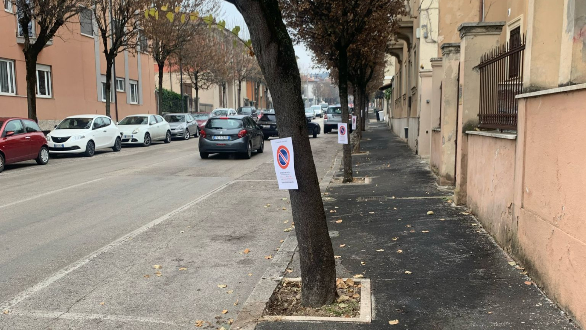 Parcheggi persi a causa della potatura