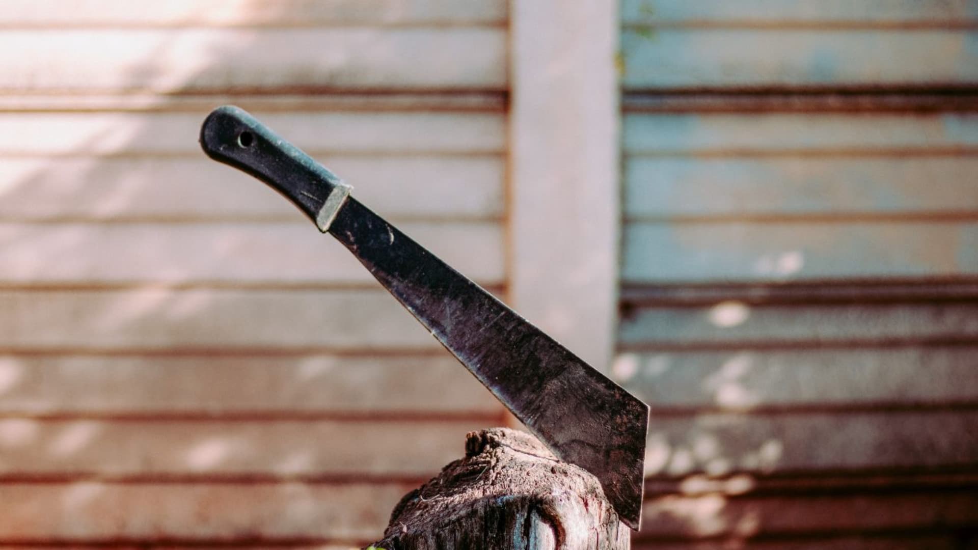 L'uomo sciava con un machete sulla schiena (Foto di repertorio)