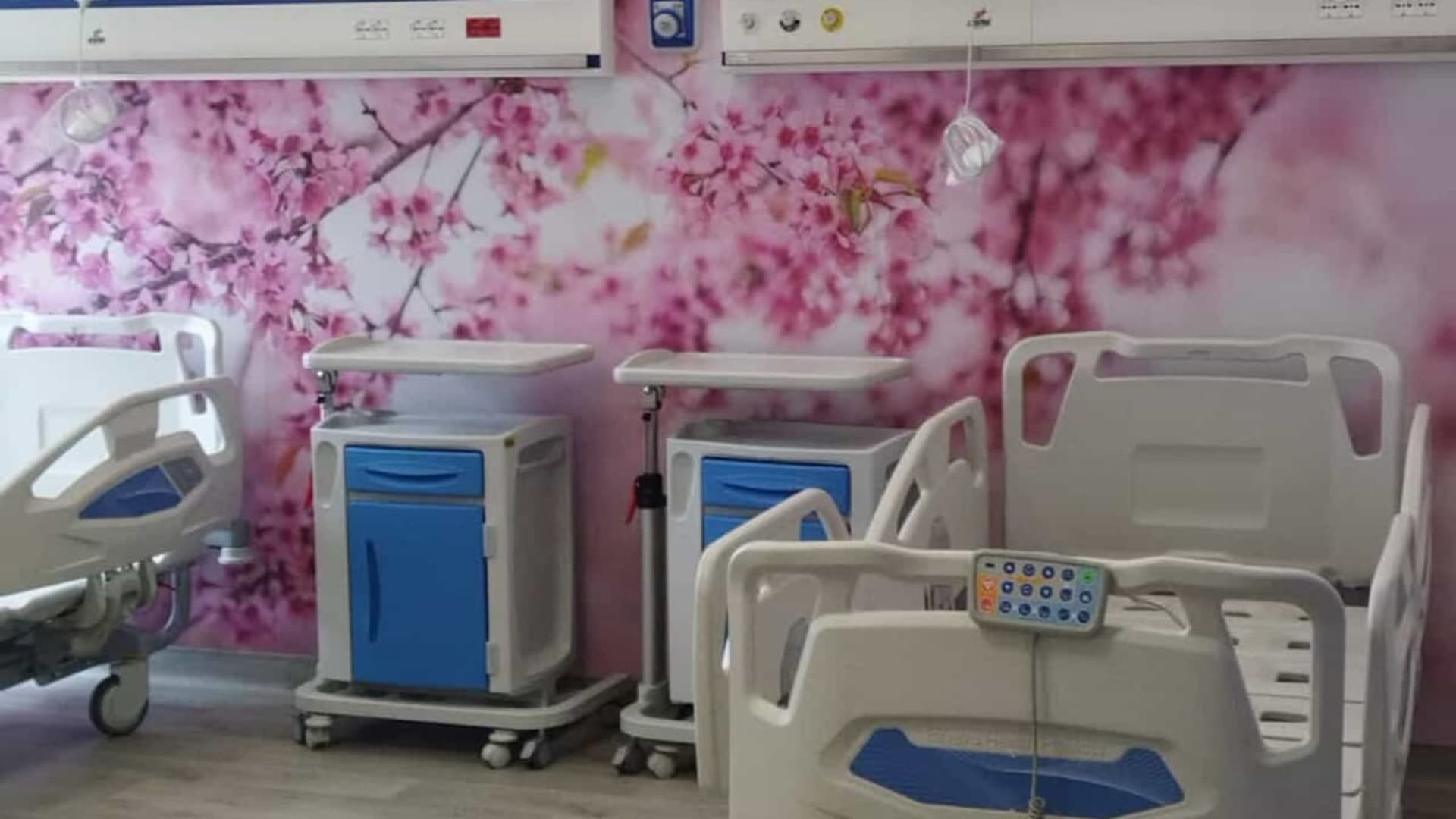 È rosa il primo fiocco del 2026 in Abruzzo: il suo nome sa di libertà