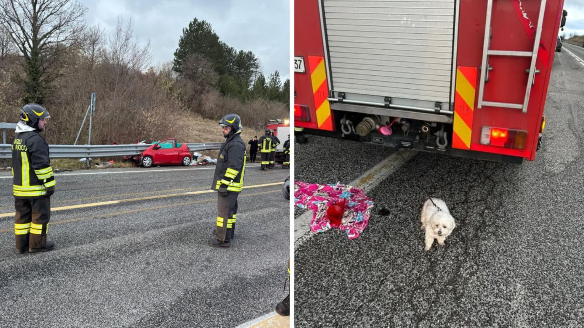 L'incidente e il cagnolino Perla