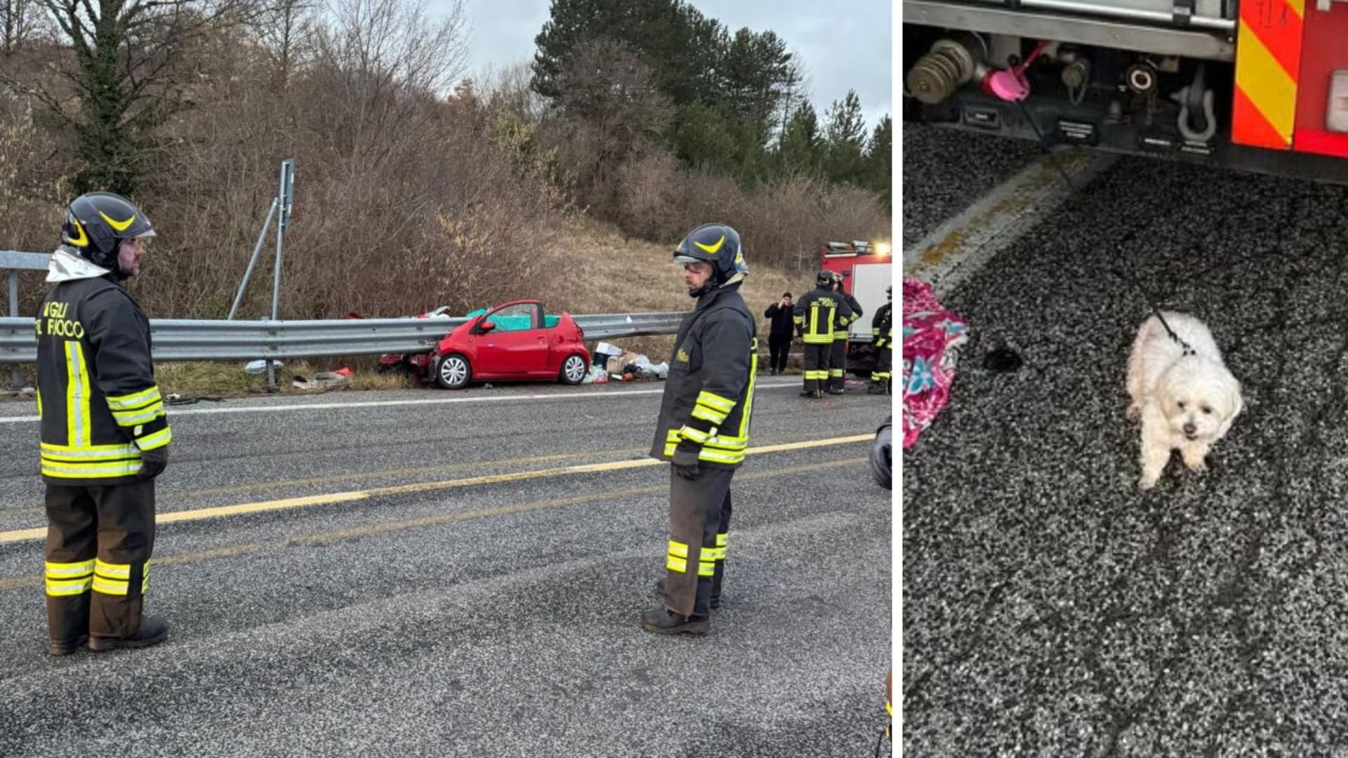 L'incidente e il cagnolino