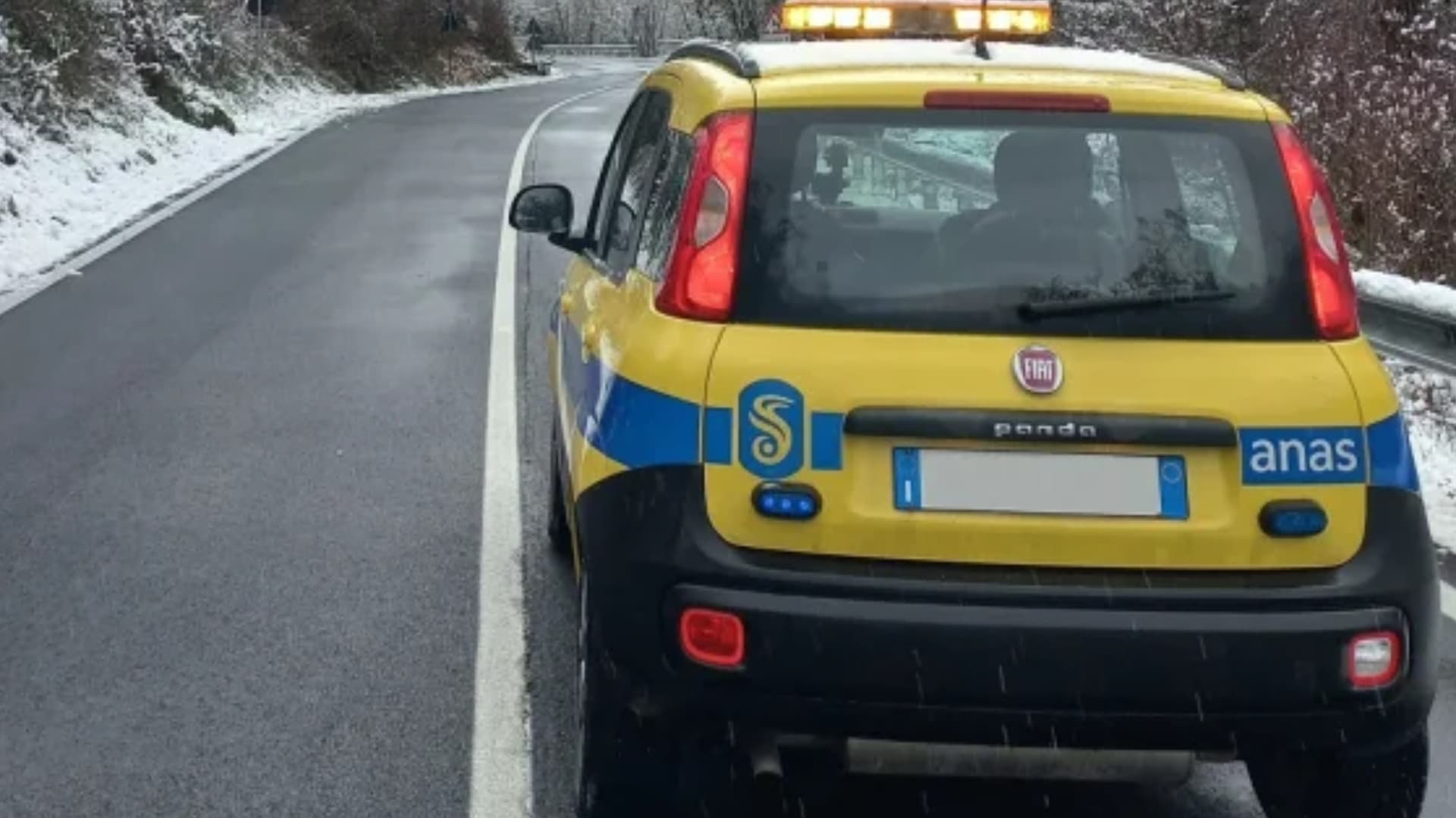 Anas (foto d'archivio)