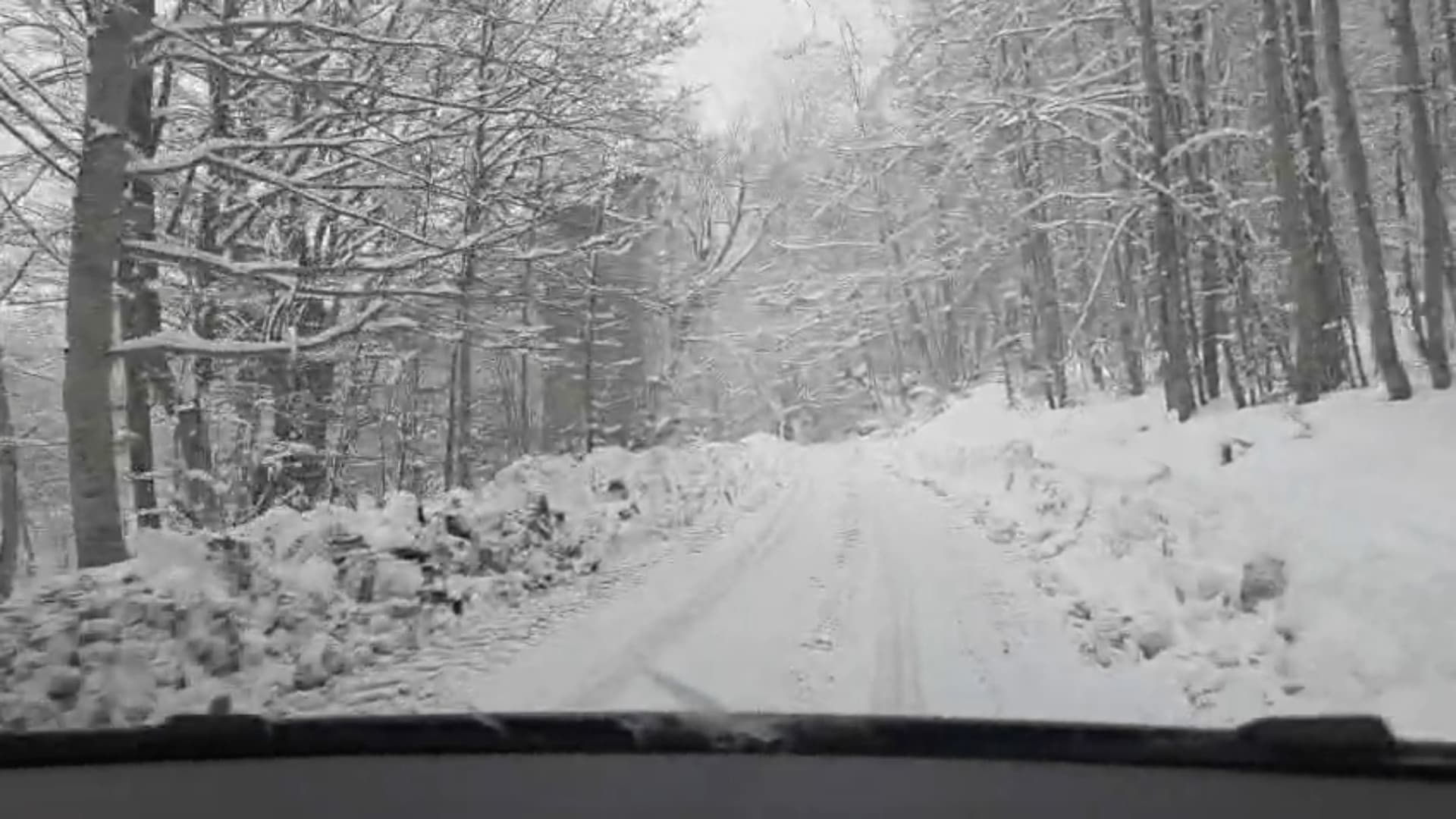 Neve, noi sulla strada ai Prati di Tivo: lo spettacolo bianco nel commento di Giancarlo Falconi