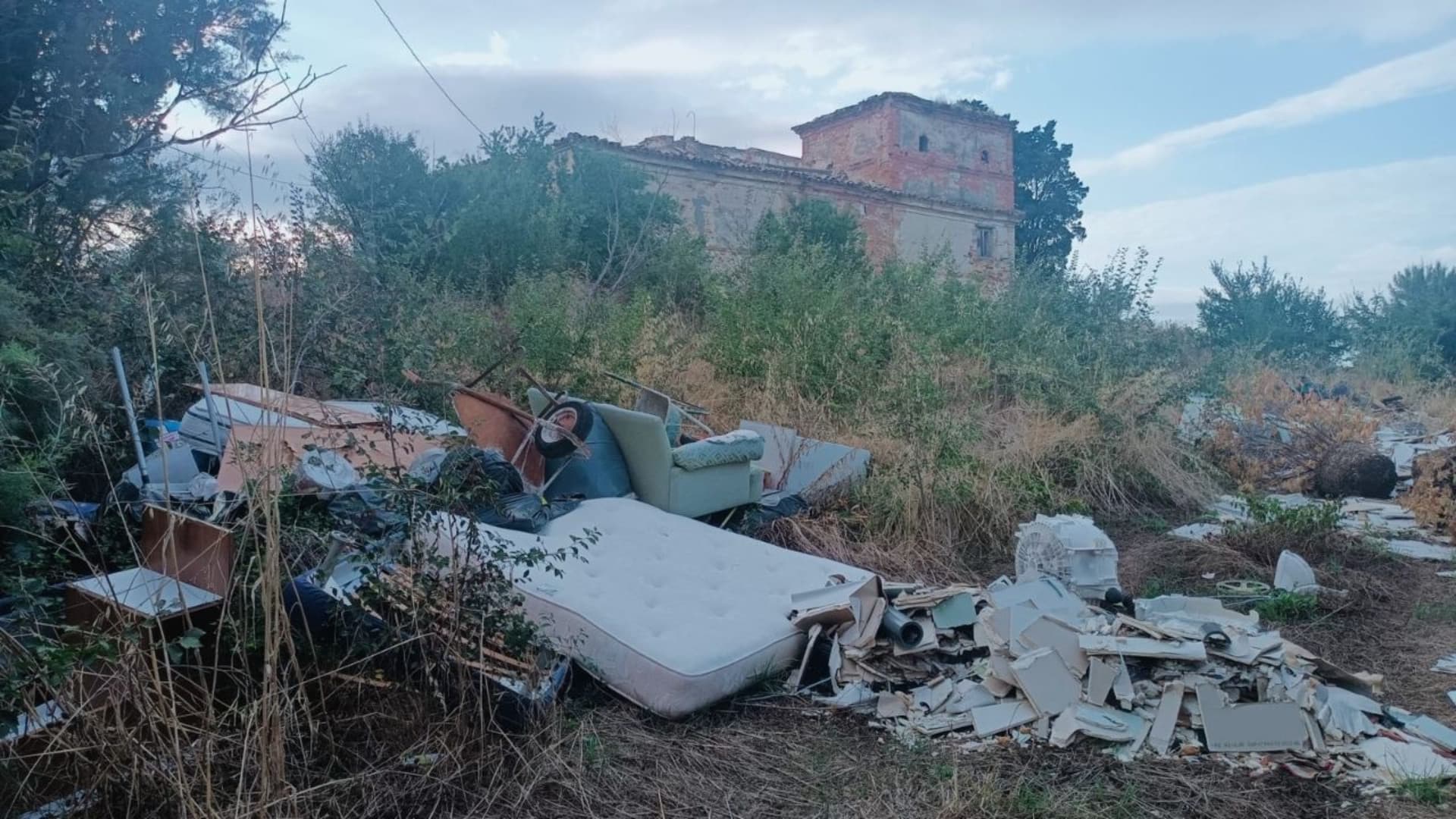 Un'immagine della zona