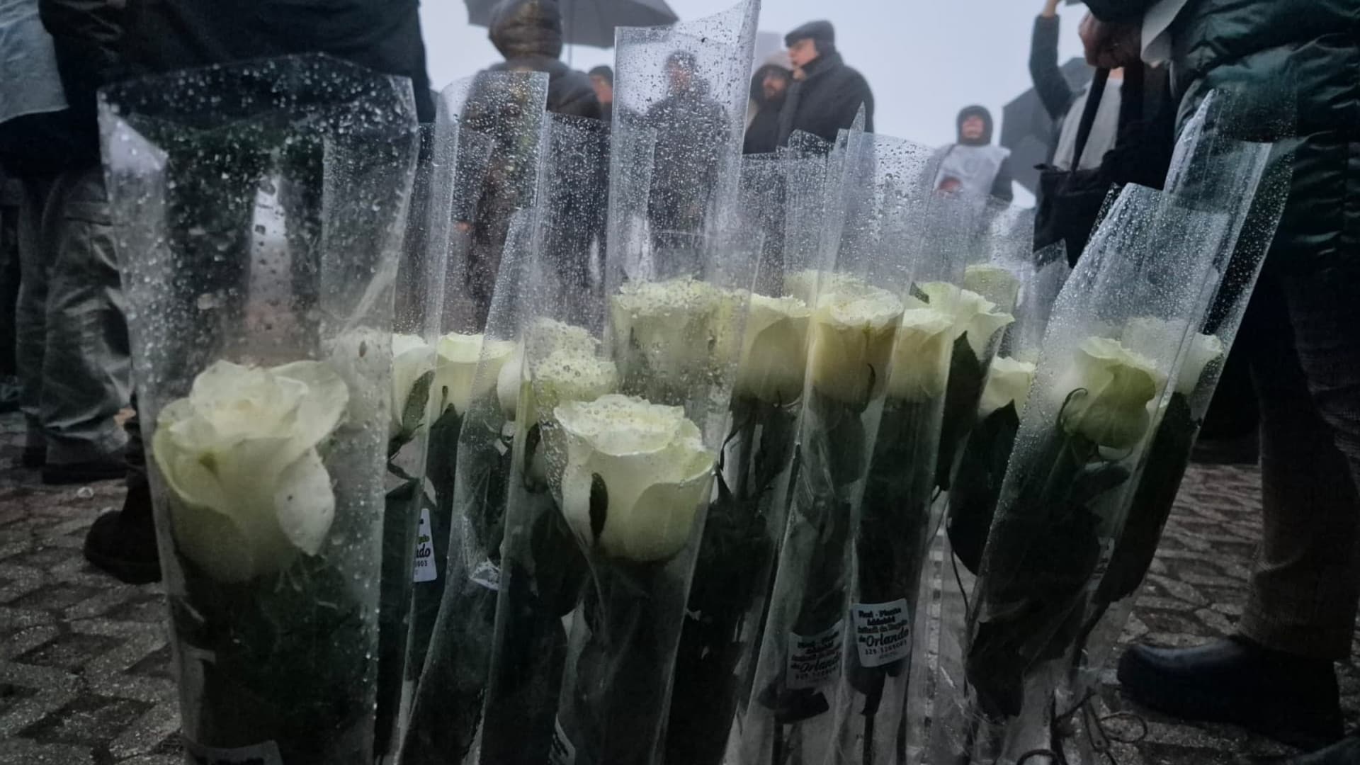 Le rose per le vittime