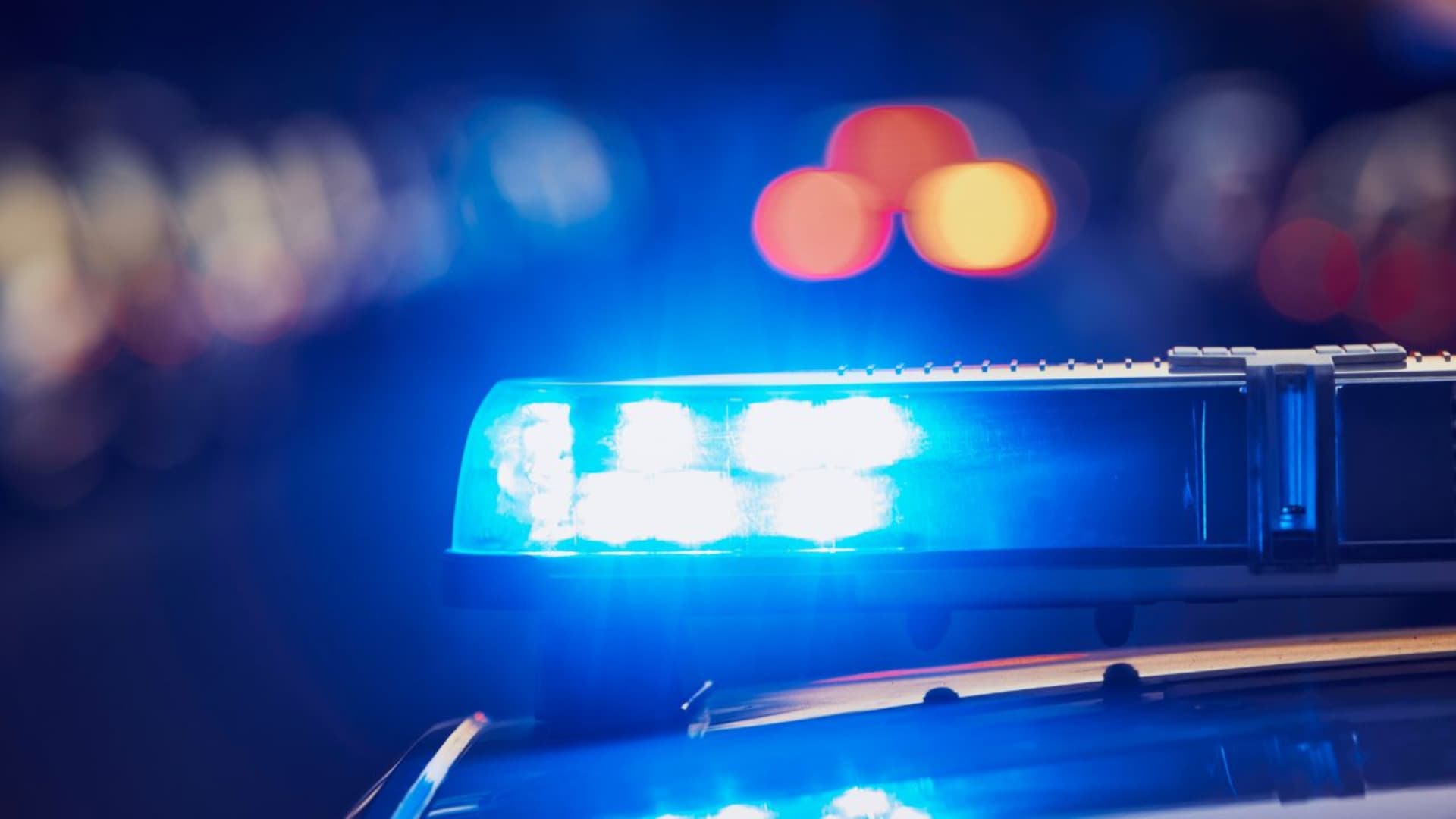 Majella, discoteca abusiva in montagna: la polizia ferma la festa con 200 persone