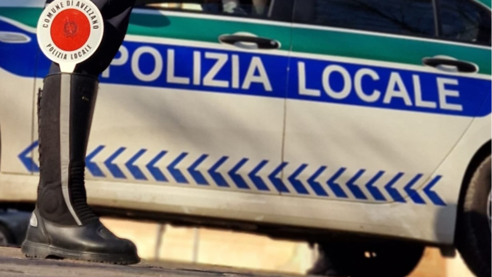 Mosciano Sant’Angelo, cani randagi e incustoditi: due interventi della Polizia Locale