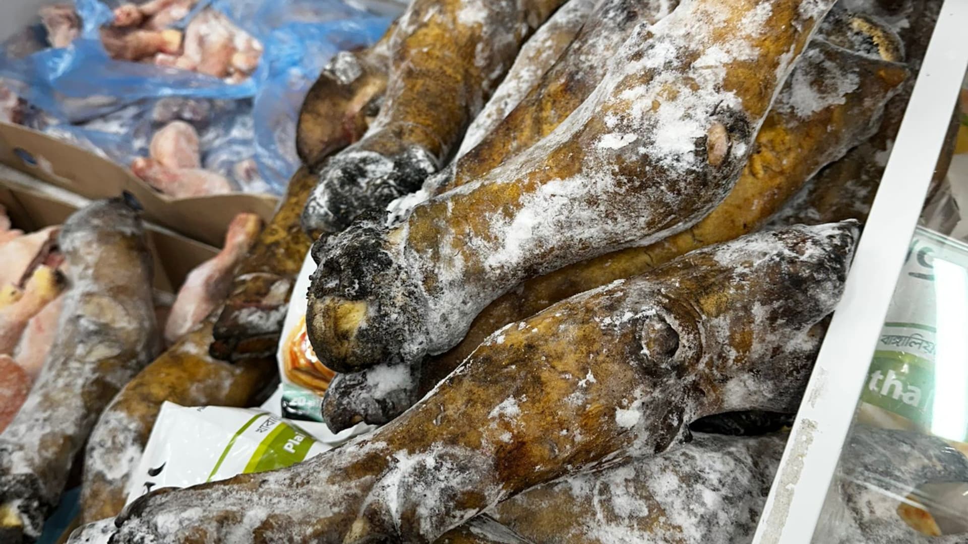 Carne e pesce senza etichette e mal conservati: sequestrati 90 chili in un market di Pescara