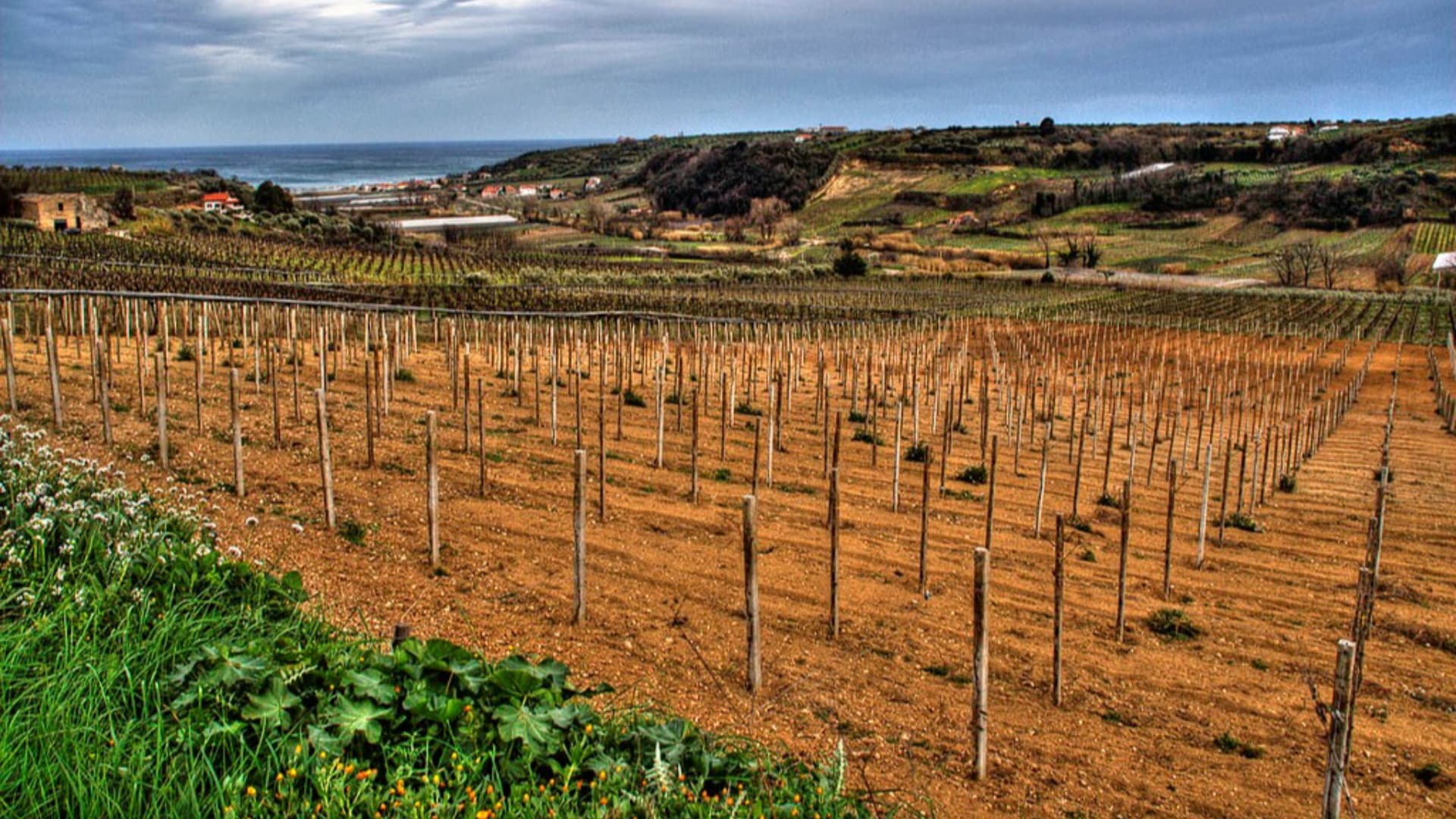 Ortona, fuga di gas per un tubo tranciato in località Feudo. Disagi al traffico