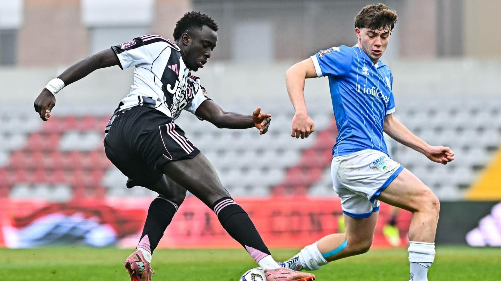 Foto Pineto (pagina Facebook Pineto)