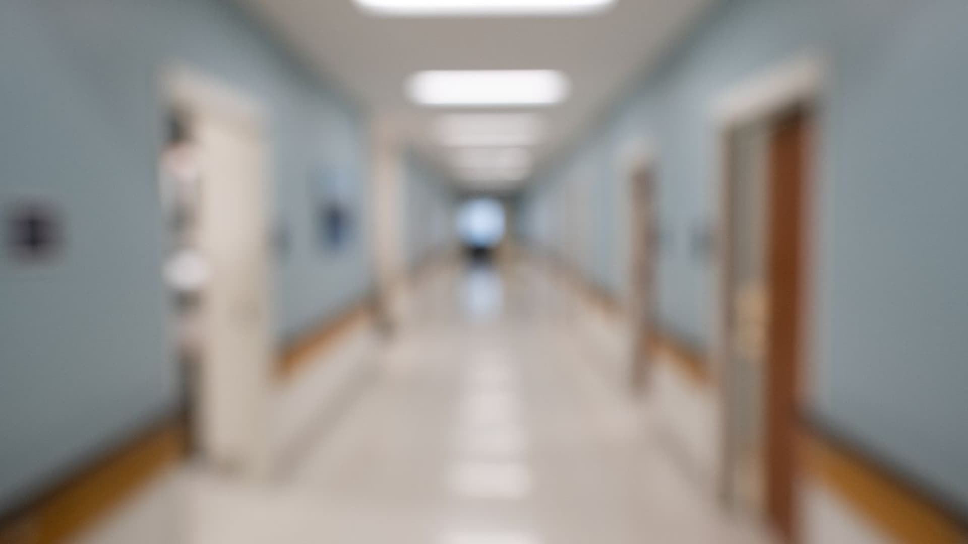 (foto di repertorio)