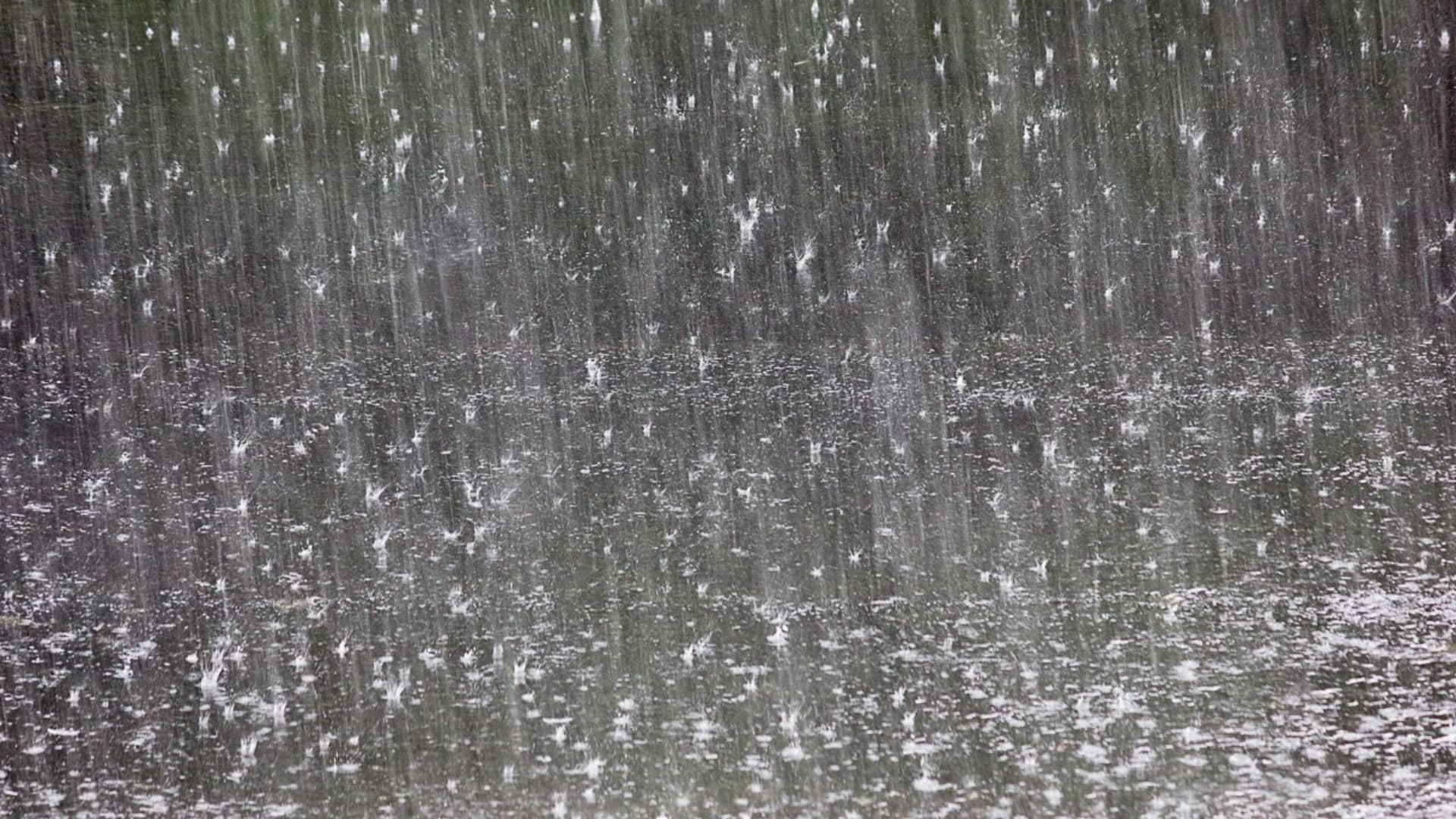 (foto di repertorio)