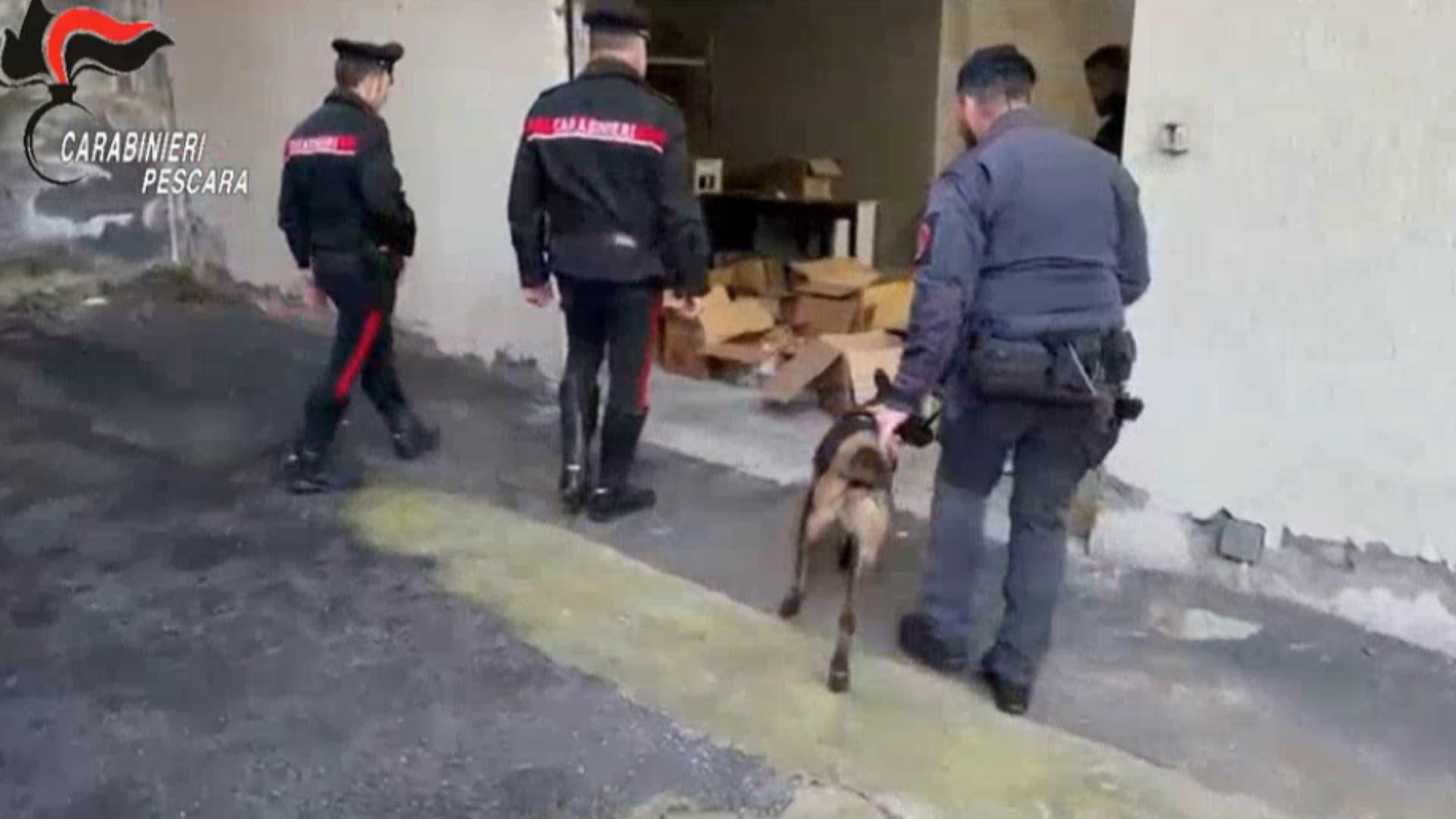 Operazione "Last Delivery", il blitz dei carabinieri: droga, armi e 12 arresti. La base in Abruzzo