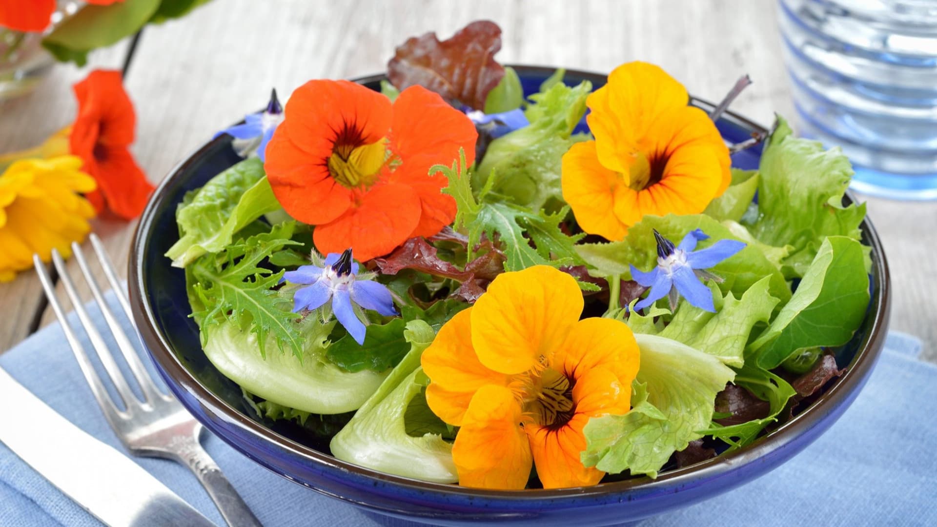 I fiori eduli: il nuovo volto della flower economy italiana