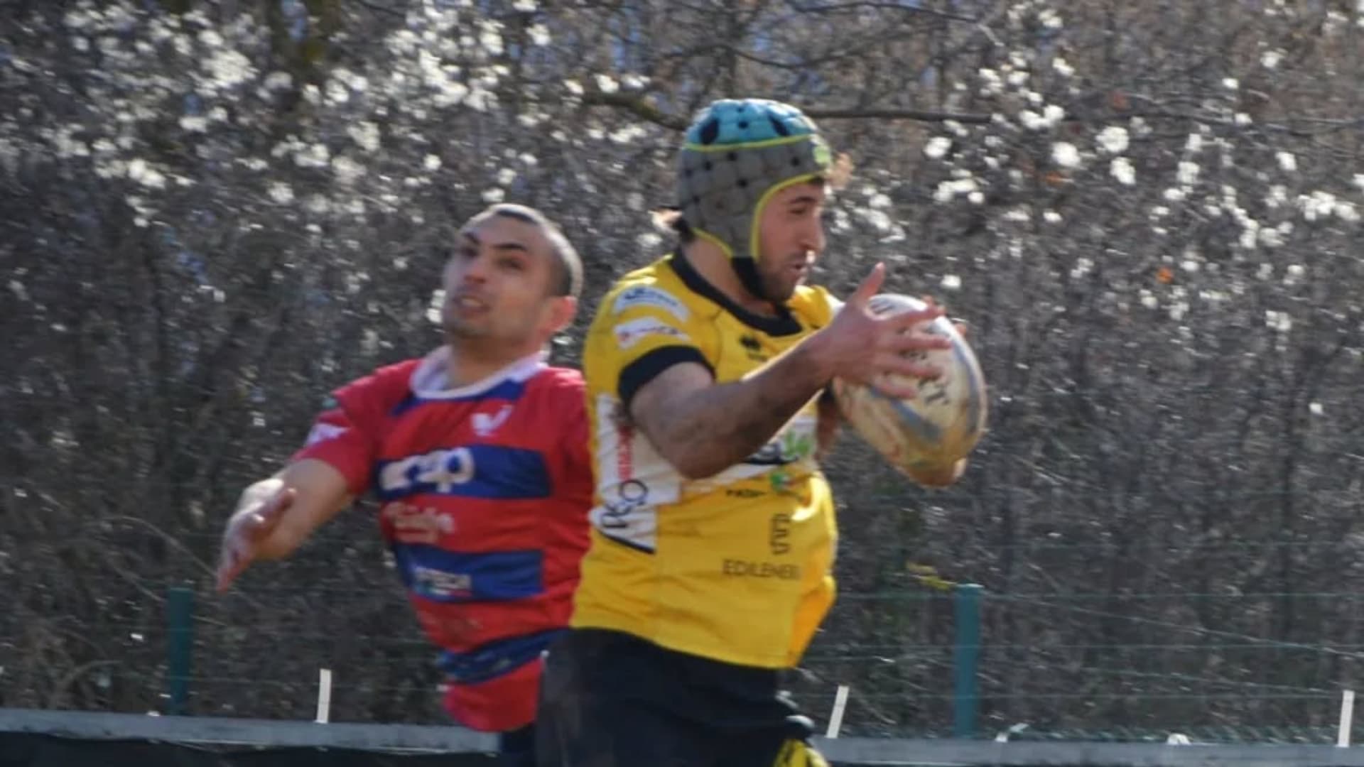 L'Isweb Avezzano spaventa Parabiago, successo per la Rugby L'Aquila e pareggio per Paganica