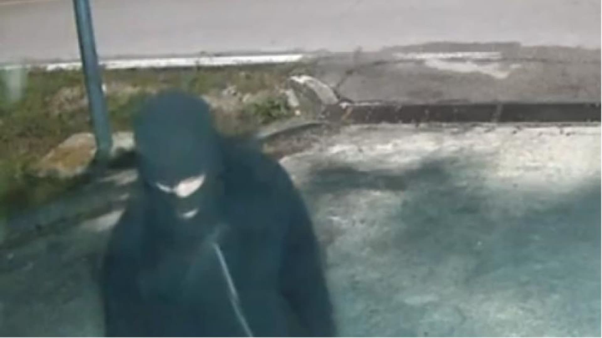 Le immagini riprese dalle telecamere