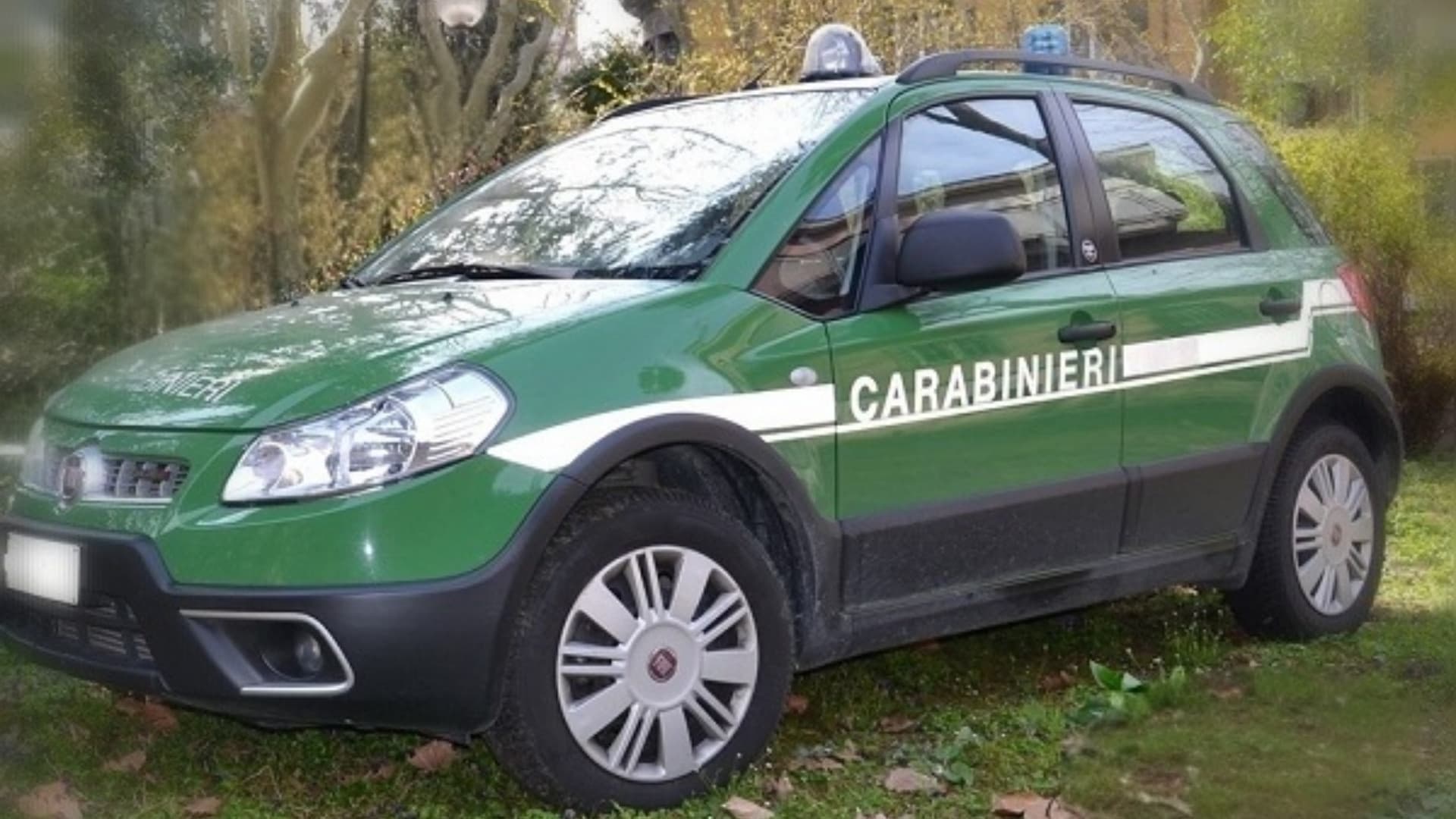 Campli, macello abusivo di agnelli rubati: ci sono 4 denunce - L'indagine anticipata da Abruzzo Daily