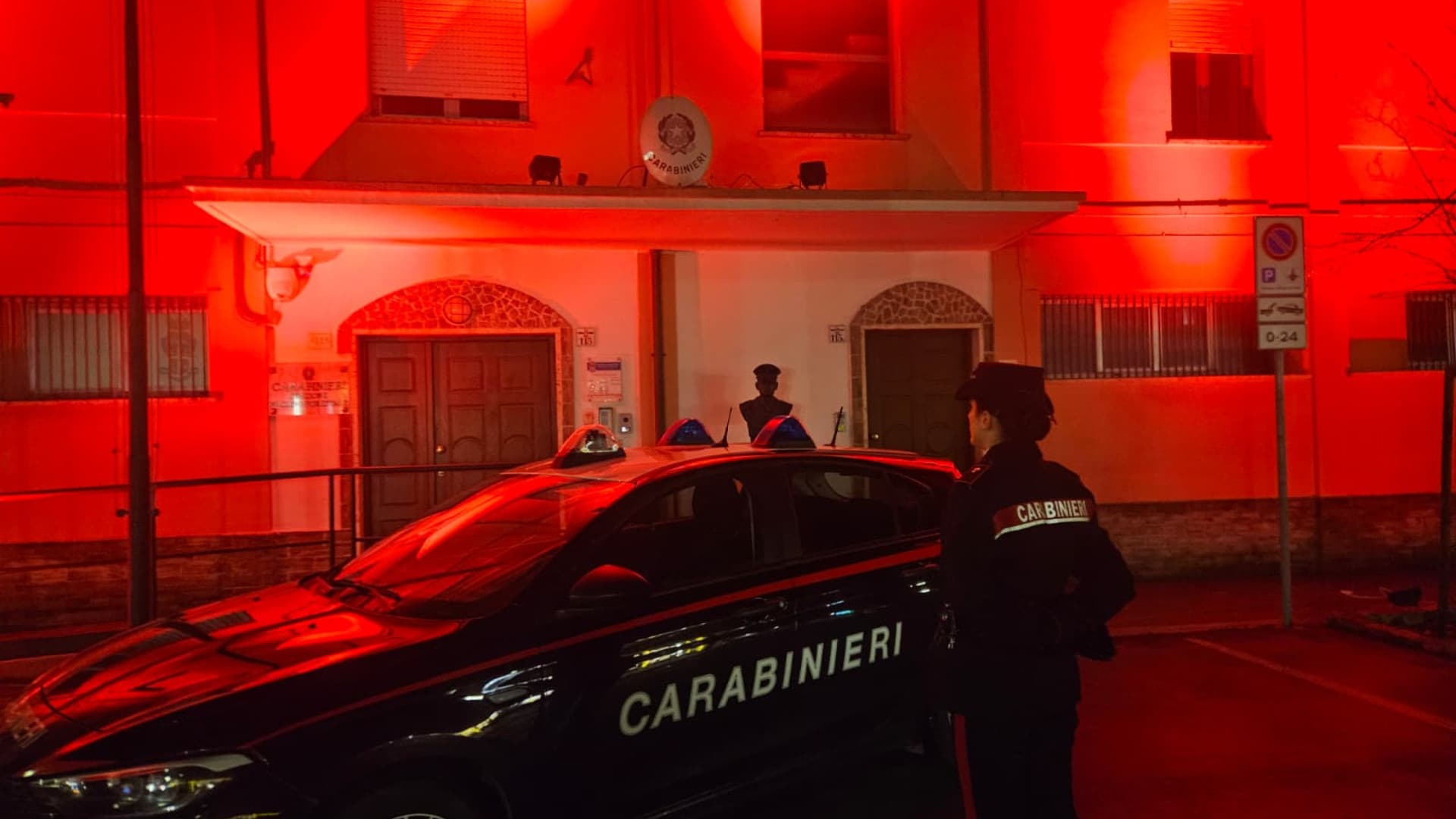Torano Nuovo, scoperto allevamento canino abusivo: 55 cani e vendita online (fino a 900 euro), c'è una denuncia