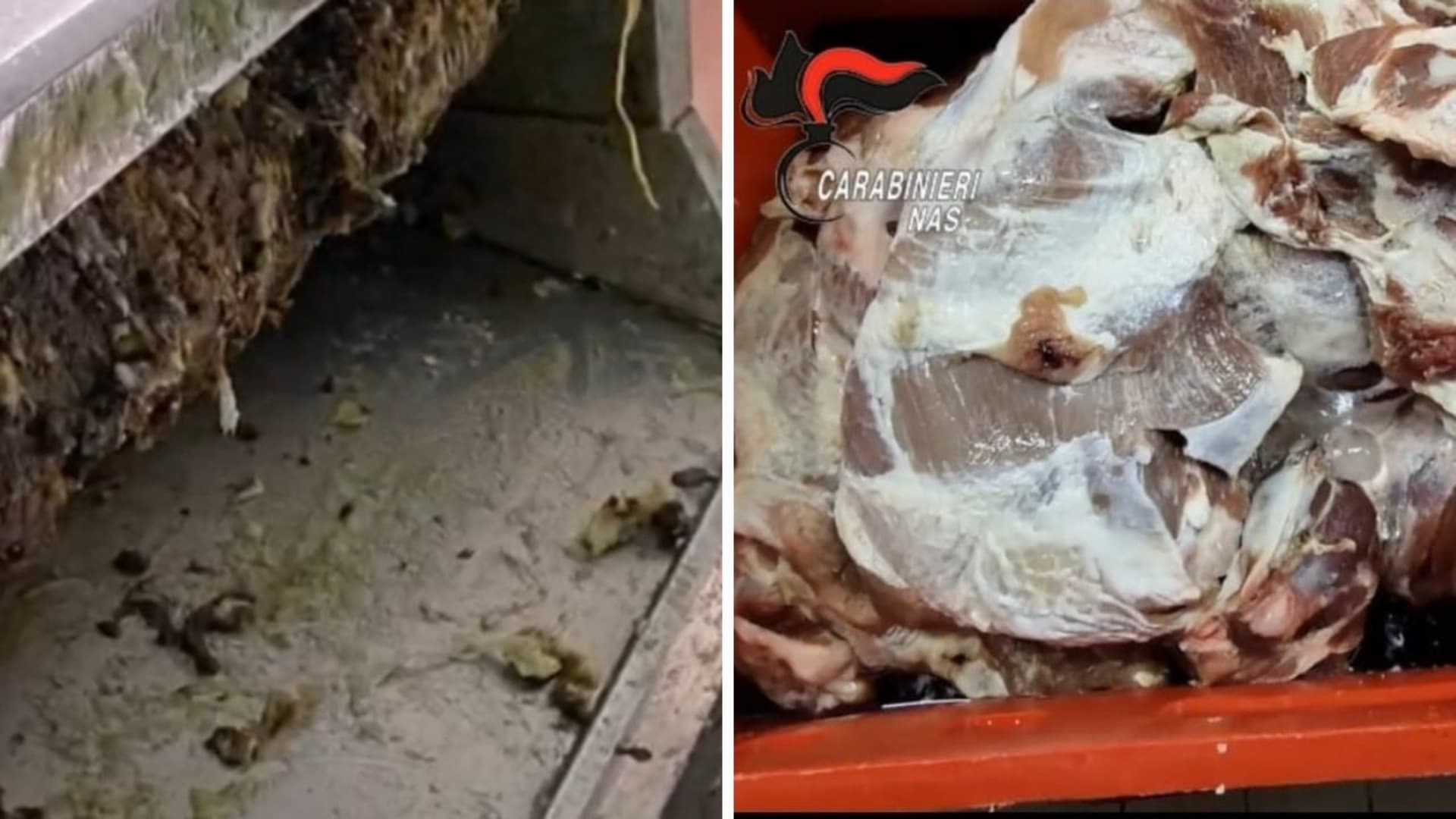 Macellerie e laboratorio di arrosticini, blitz dei Nas di Pescara: scattano 80mila euro di sanzioni - Video