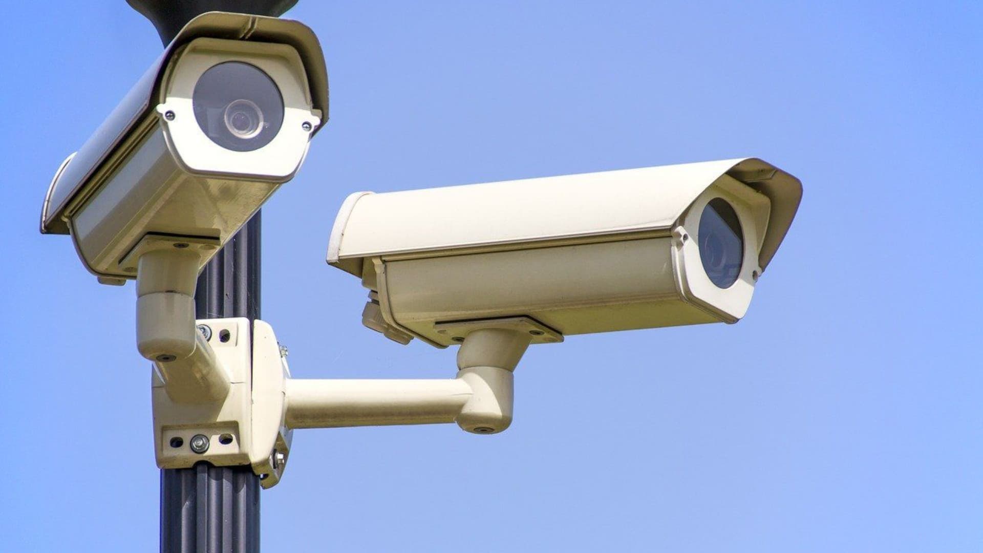 Telecamere in azione