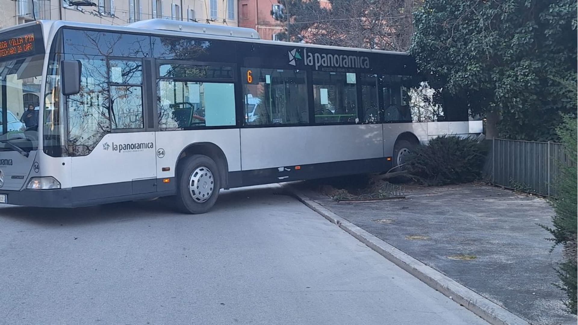 Il bus