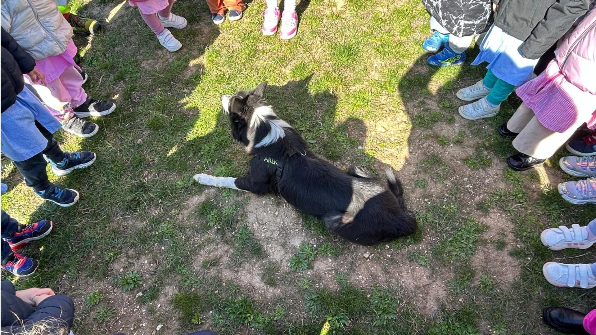 A scuola i bambini con i cani addestrati per cercare e salvare persone in difficoltà