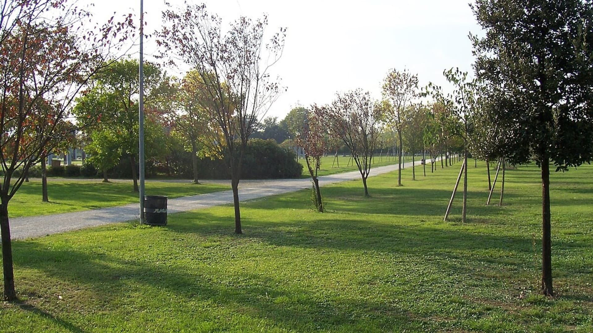 Teramo, vandali nel nuovo parco di Colleatterrato: distrutte 50 piantine appena messe a dimora