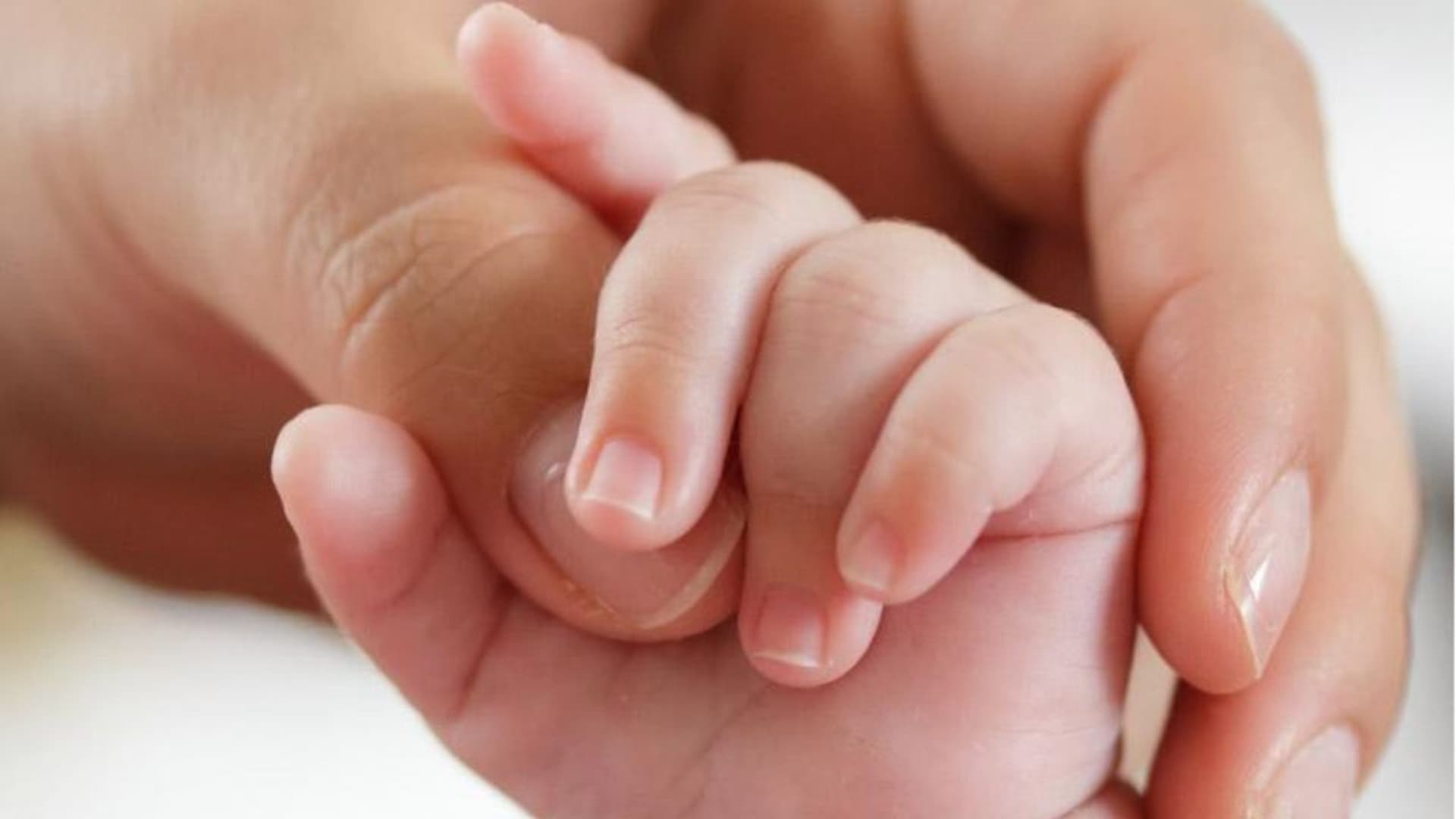 (foto di repertorio)