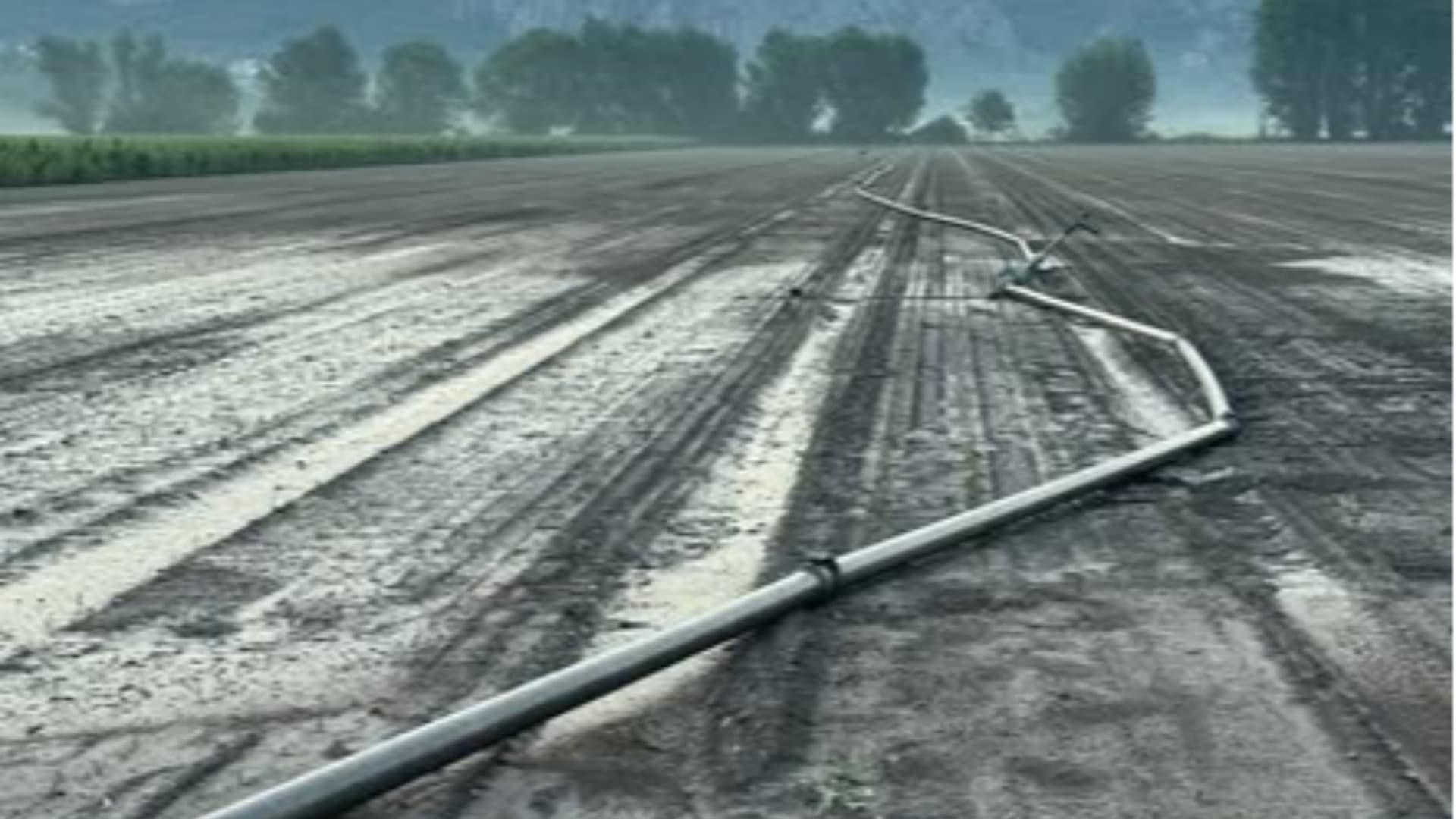 Fucino, Coldiretti scrive al Comune di Avezzano: “Strade dissestate e fossi da pulire”