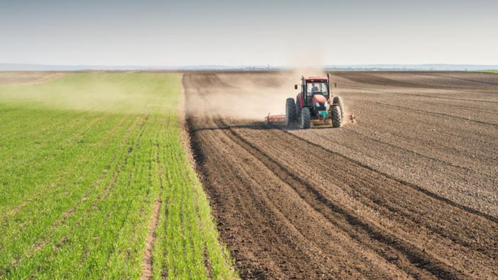 Tractor preparing land for sowing