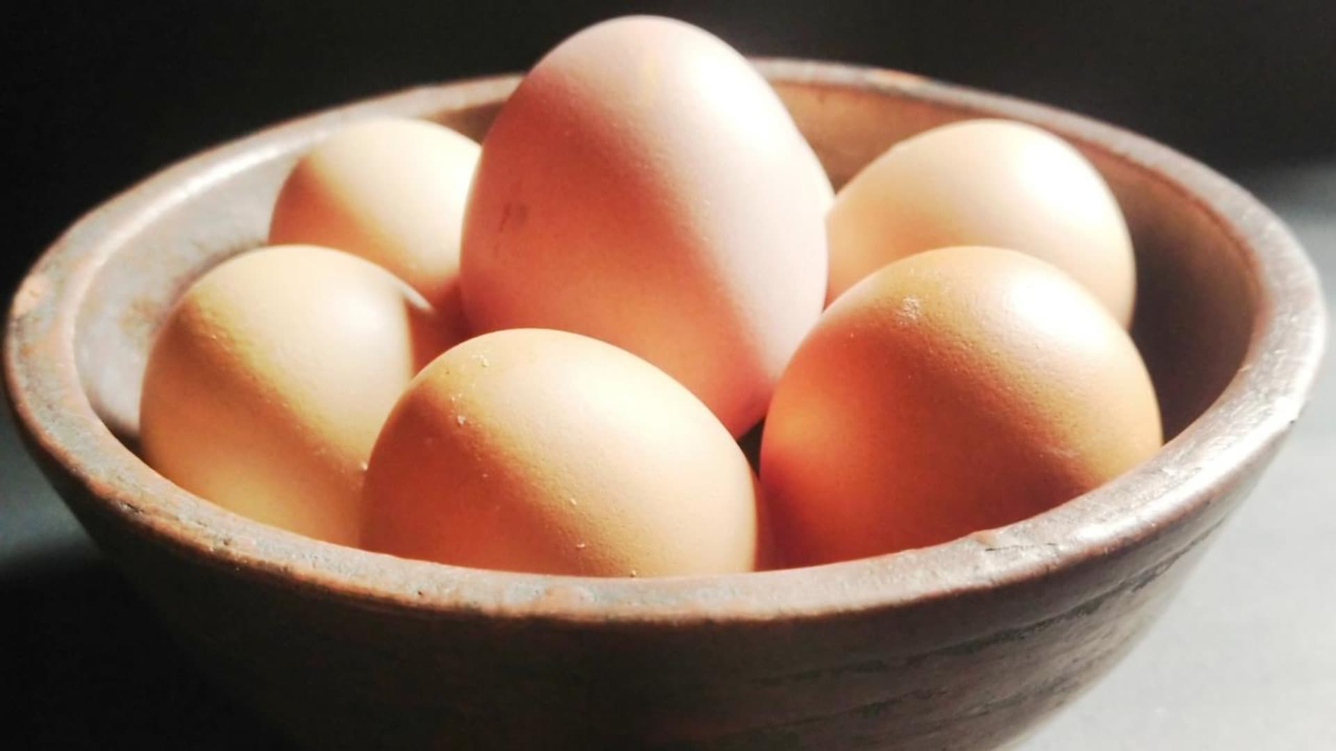 Uova richiamate per rischio salmonella: i lotti coinvolti