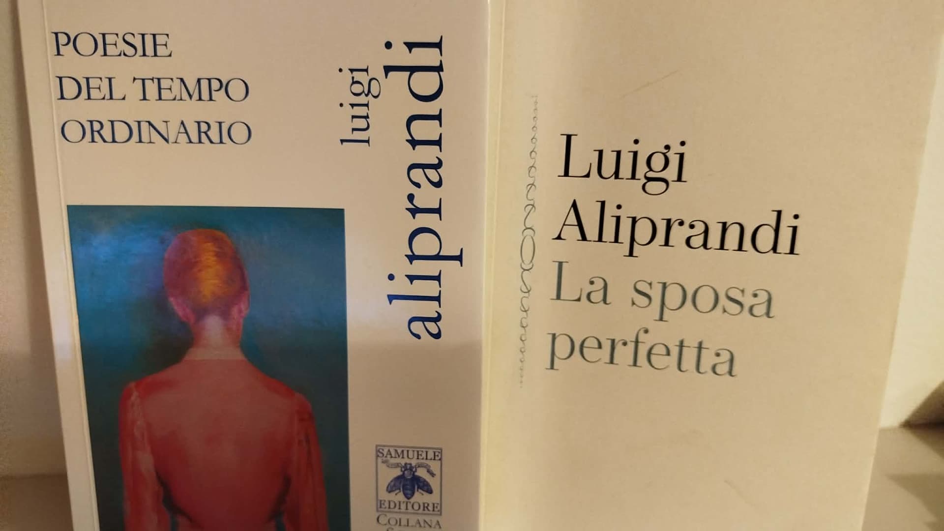 Fuori copertina, poeti e scrittori abruzzesi: Luigi Aliprandi - Diciassettesima puntata