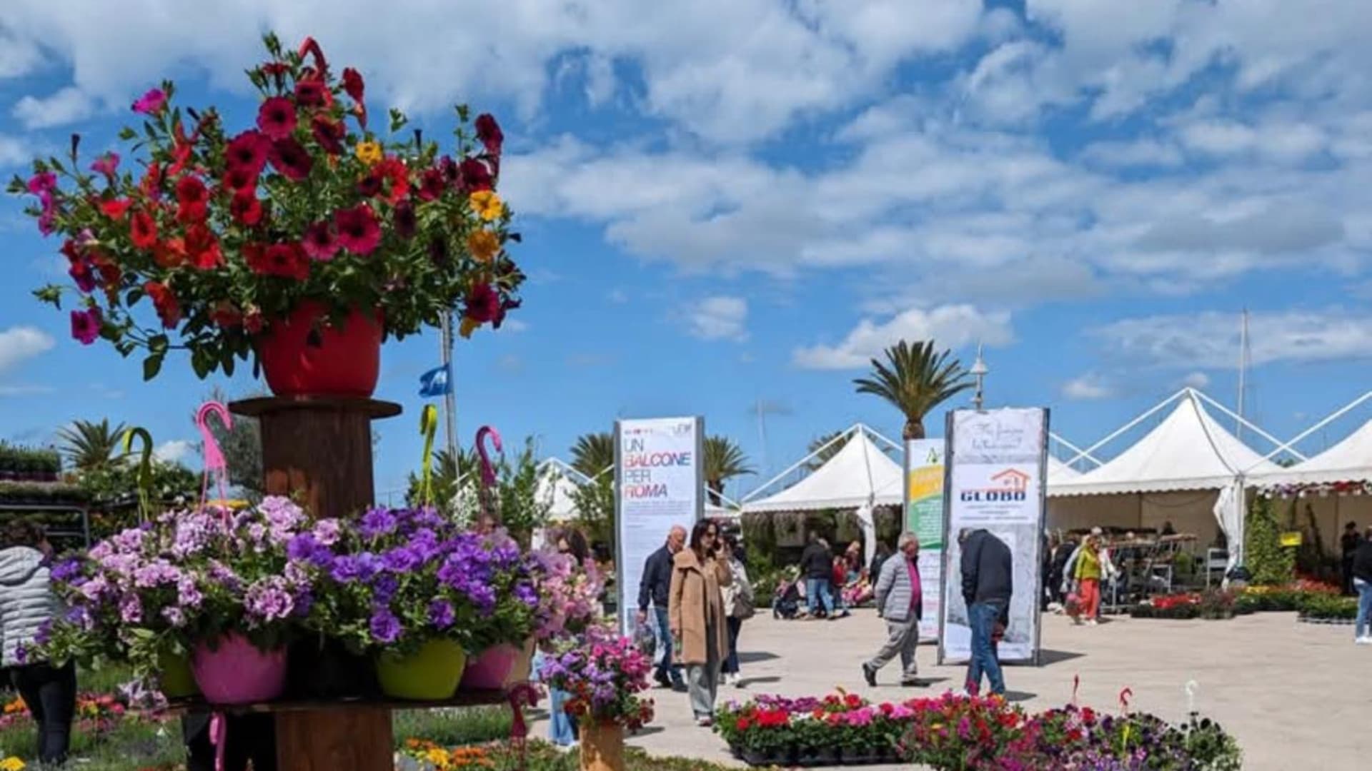 Uno scatto dalla scorsa edizione