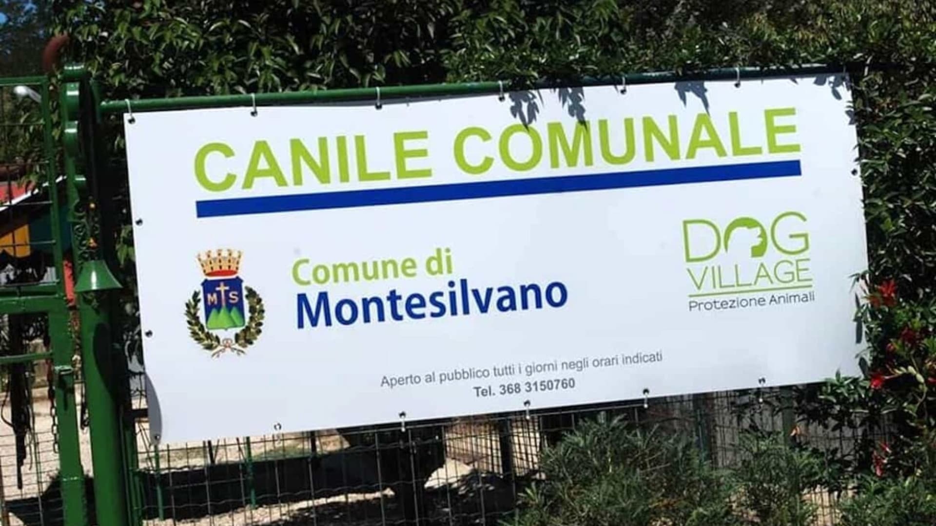 Maltempo, il canile di Montesilvano inondato: salvati 70 cani grazie alla solidarietà