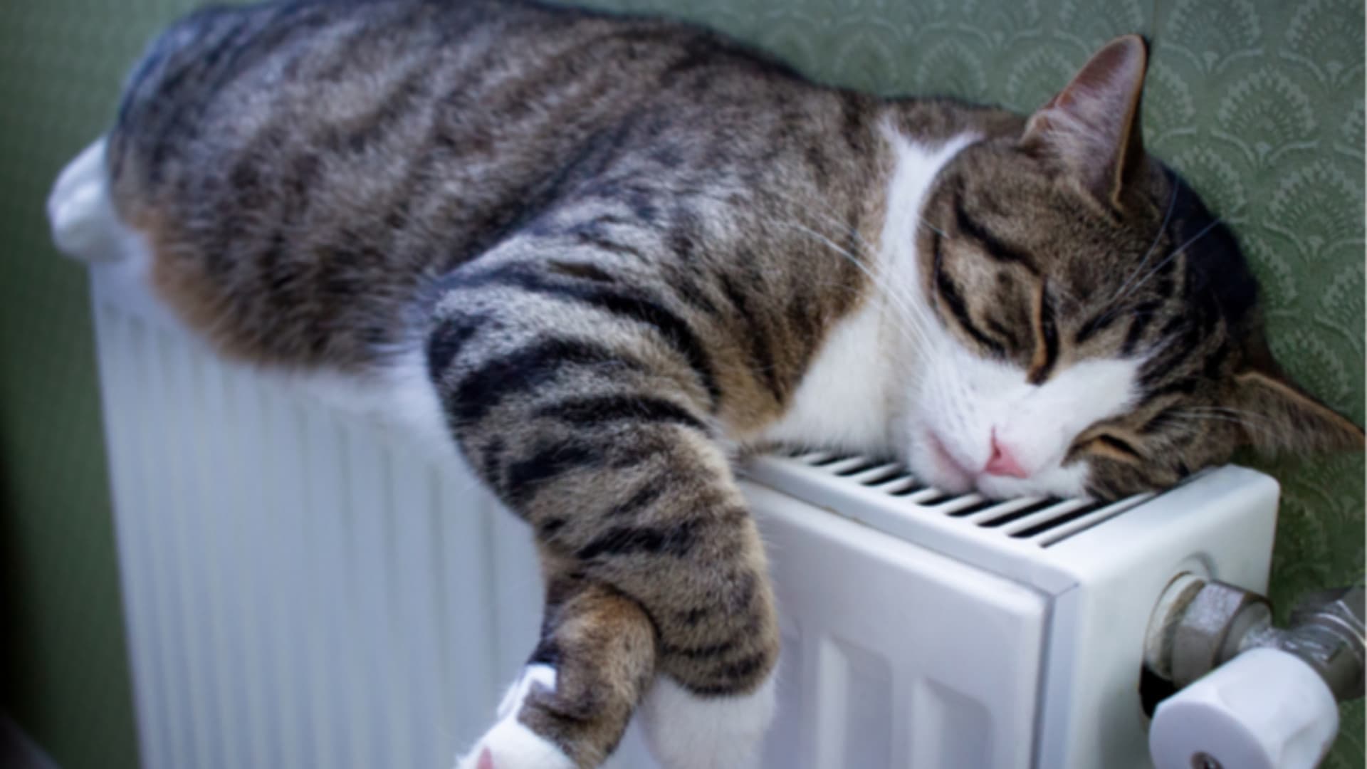 L’Aquila, prorogata l’accensione dei riscaldamenti fino al 22 aprile