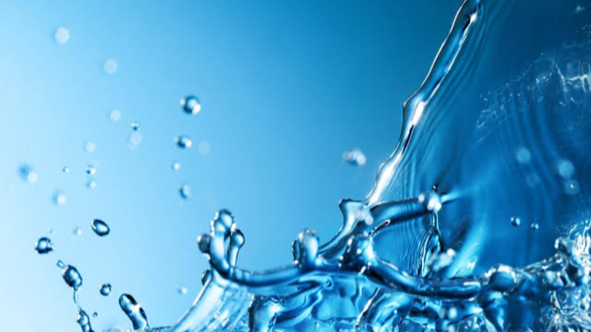 (foto di repertorio)