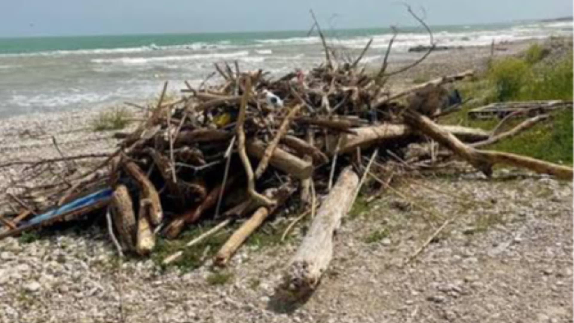 Detriti sull'arenile