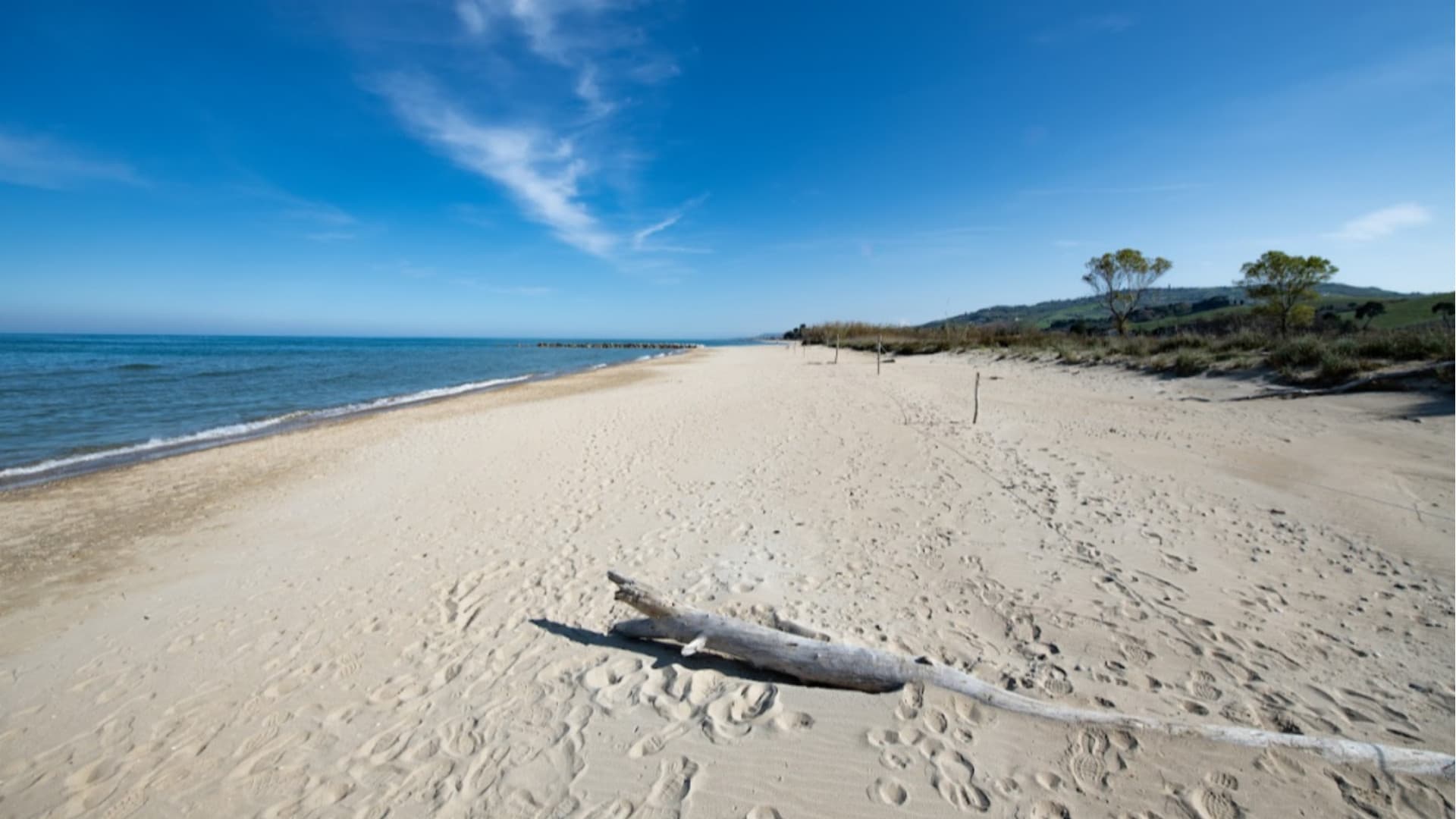 Borsacchio, via libera al progetto per dune e biodiversità