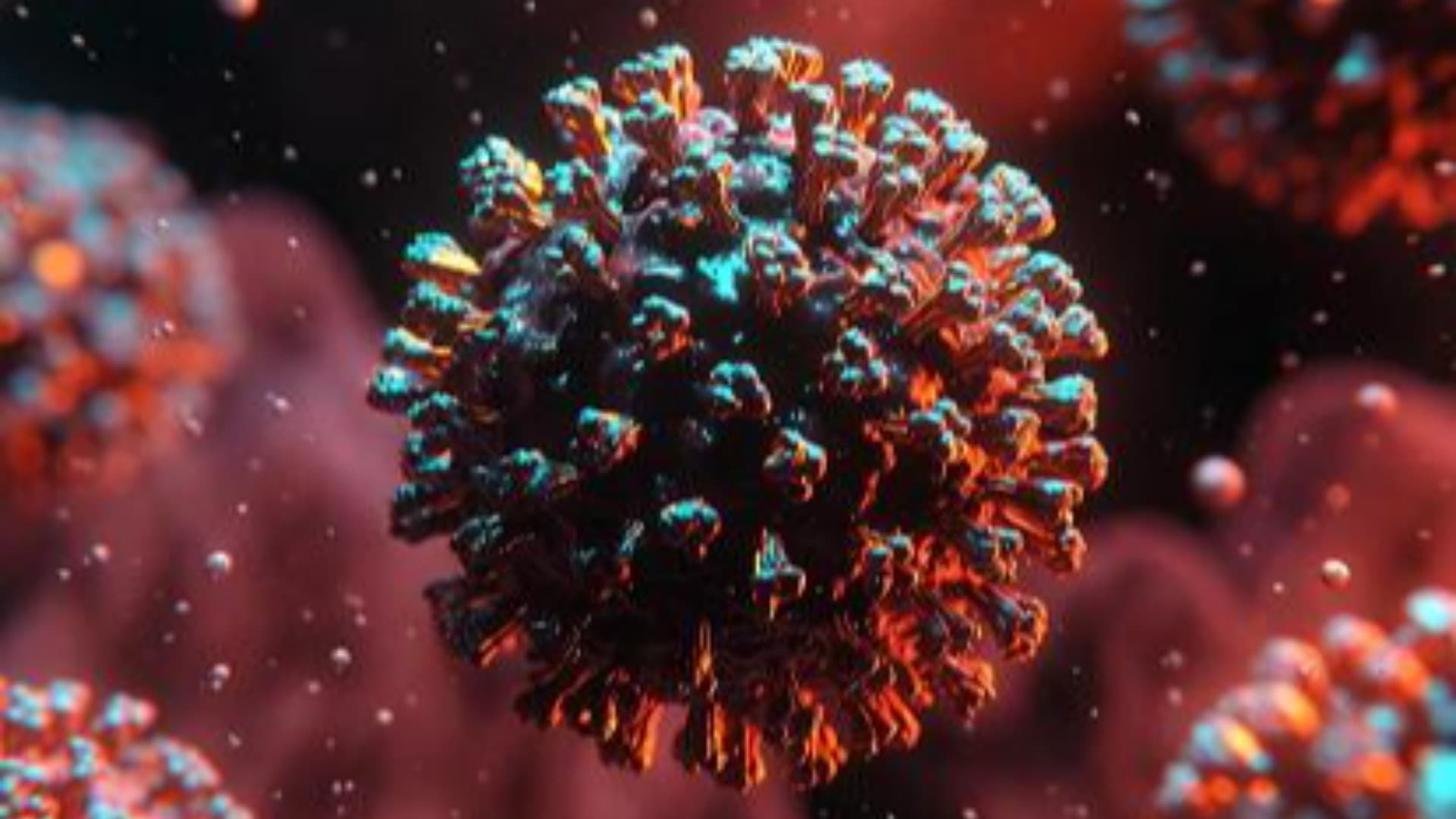 Hantavirus in Abruzzo: definiti i nuovi protocolli di allerta e sorveglianza