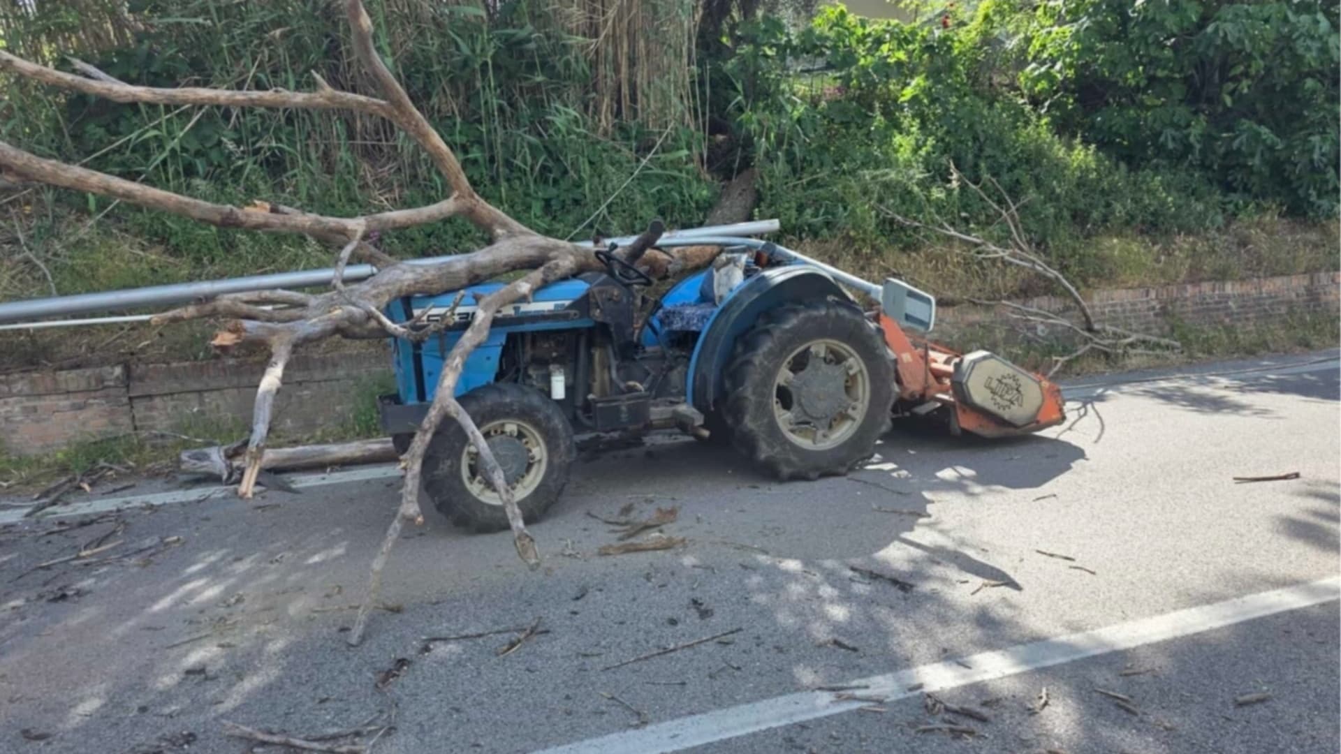 Rocca San Giovanni, cadono un palo della luce e un albero per le forti raffiche di vento: salvo il conducente del trattore