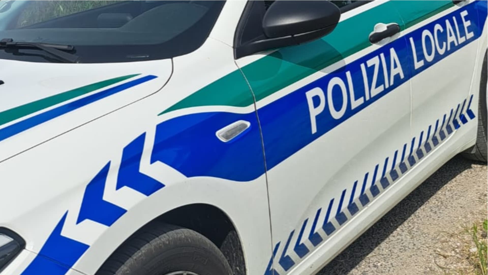 Avezzano, carica in auto i collari antiparassitari e scappa senza pagare: inseguito dalla titolare