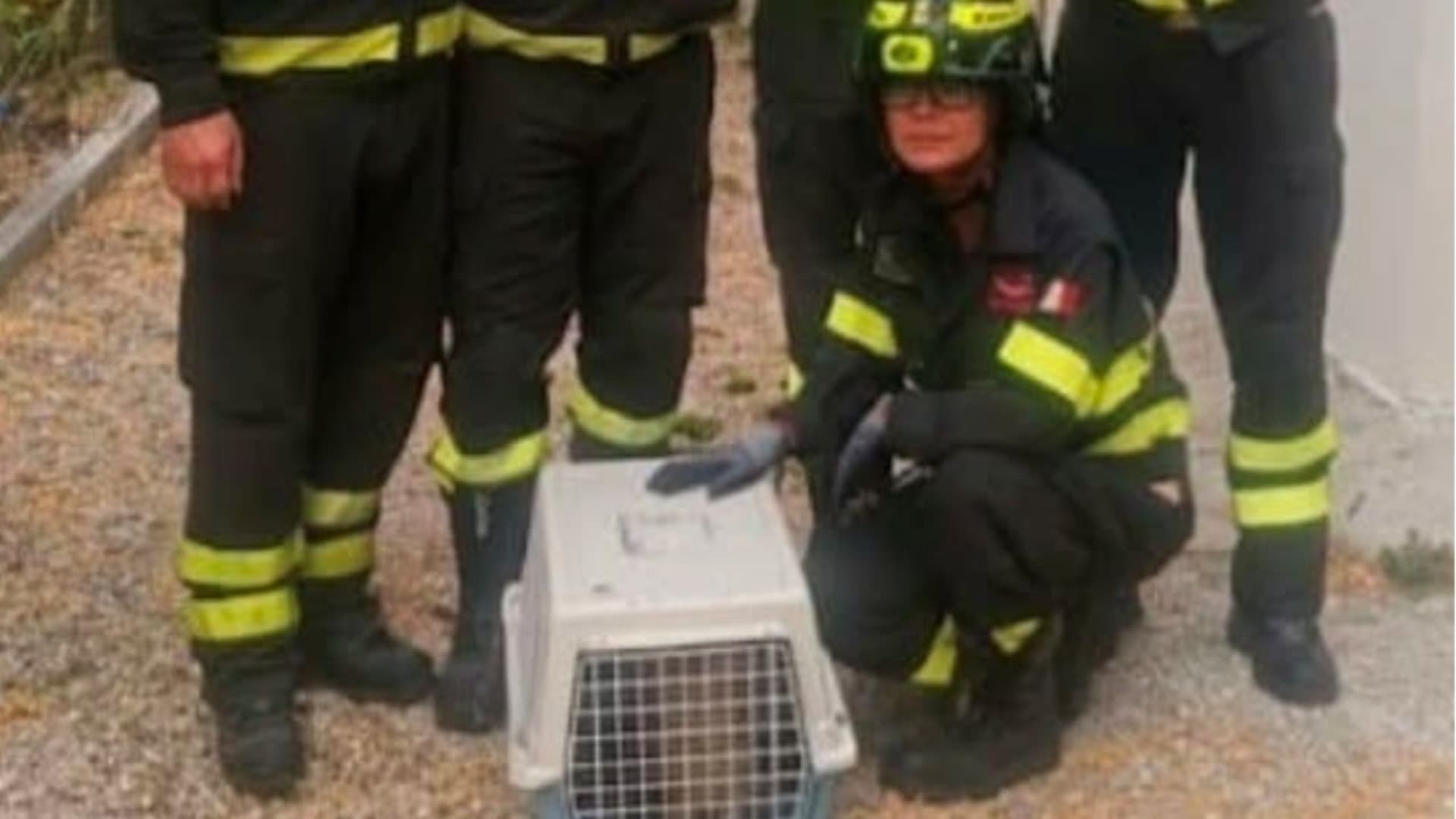 L'intervento dei vigili del fuoco