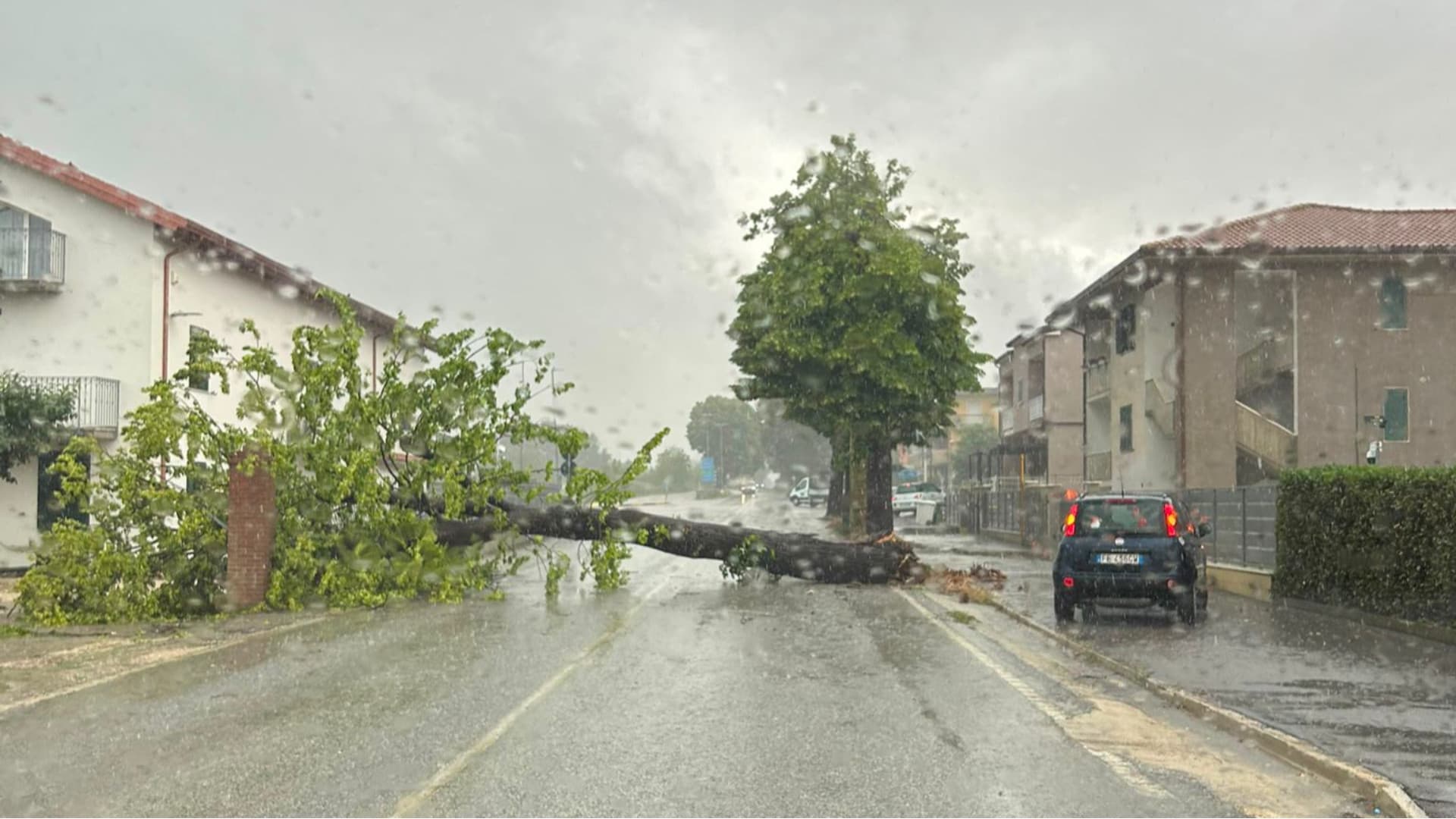 Bomba d'acqua in provincia di Teramo: alberi caduti e smottamenti - Le immagini