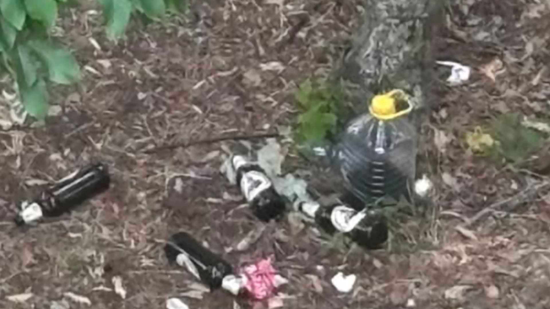 Vino, rifiuti e molestie ai passanti: al parco fluviale di Teramo interviene un cane e mette in fuga il gruppo