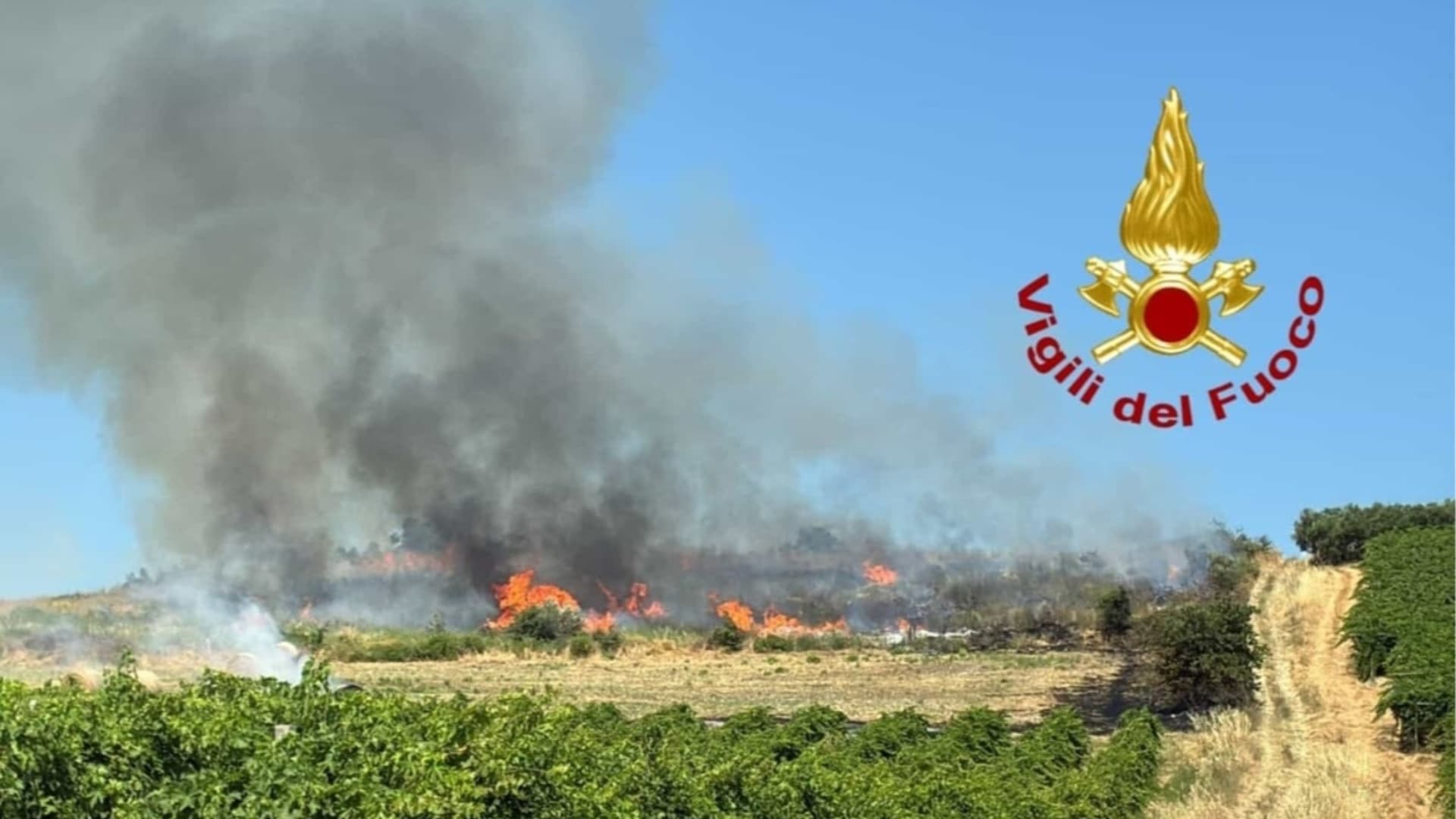 Incendi, emergenza nel Vastese: bruciati 75 ettari, quattro roghi