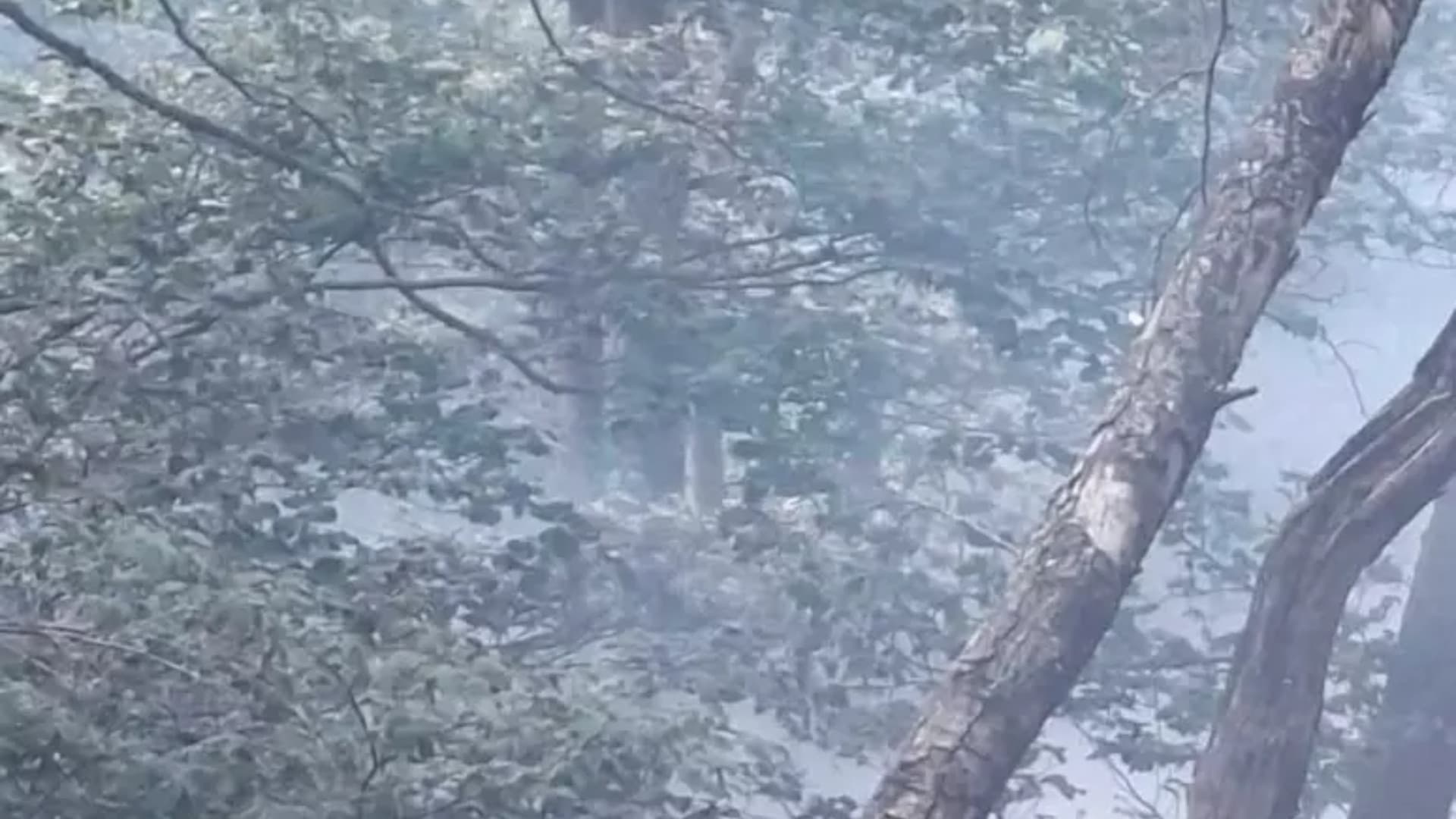 L'incendio di Collelongo